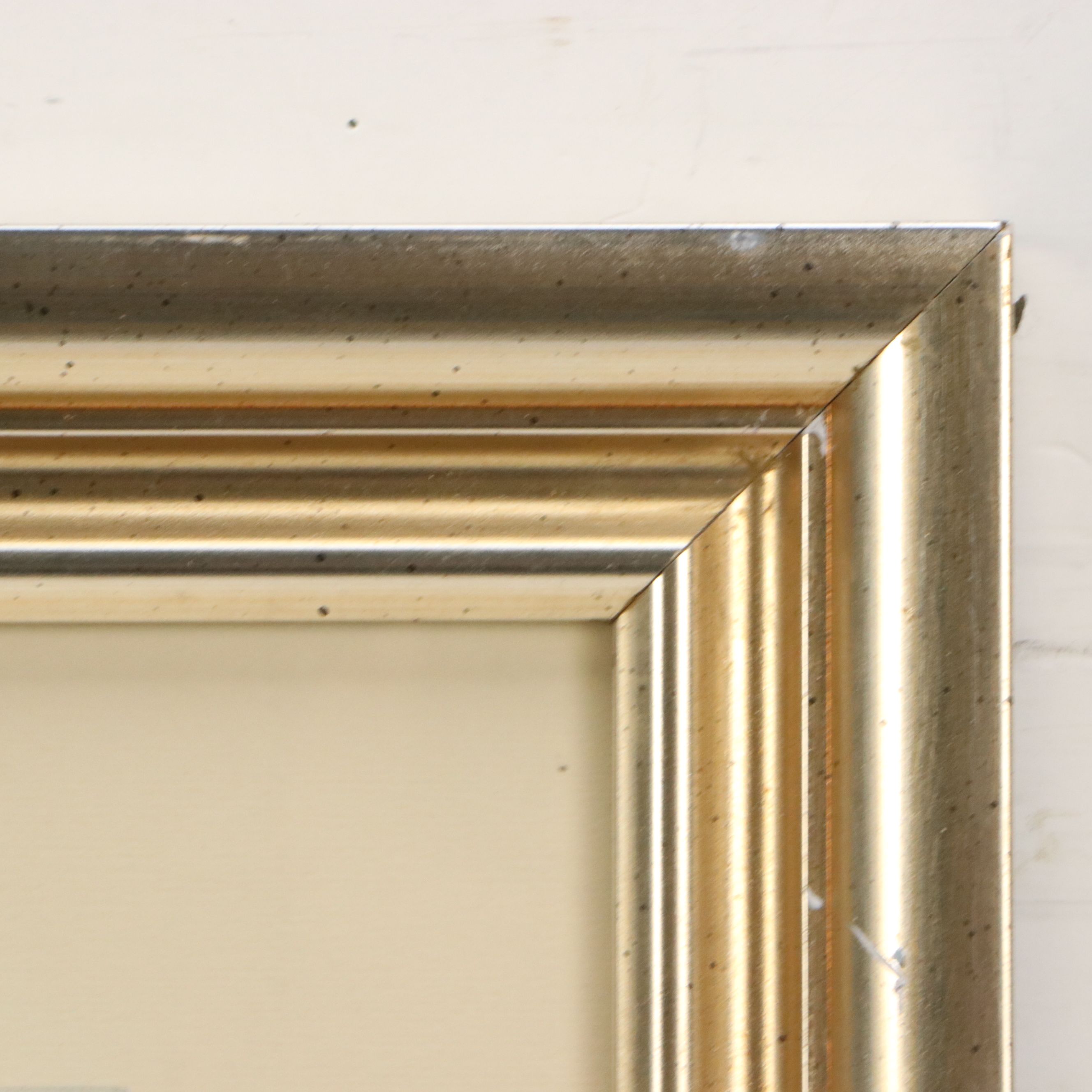 Ornithological Offset Lithograph After Mark Catesby