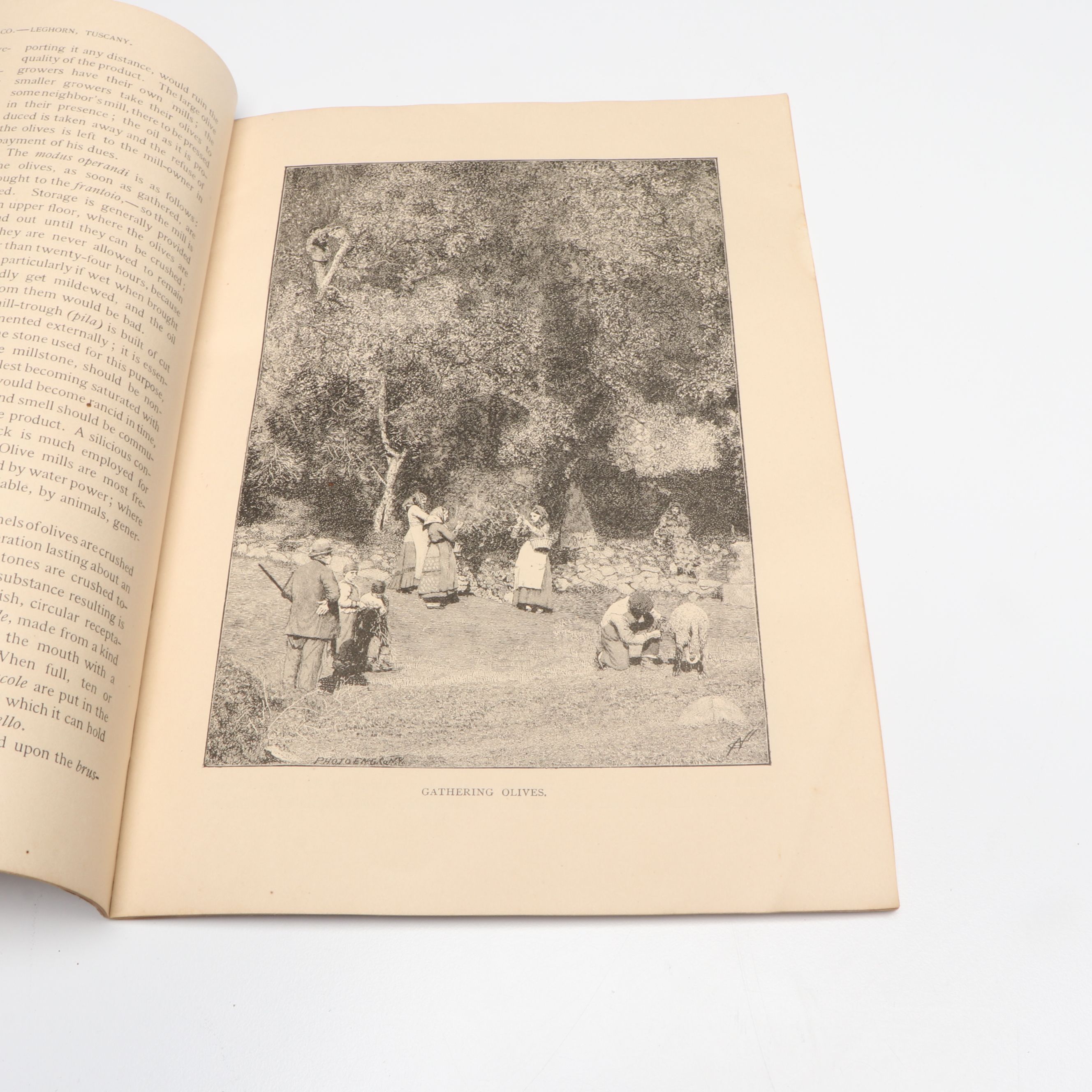 World War II Era War Ration Books with Sheet Music, Booklets and More Ephemera