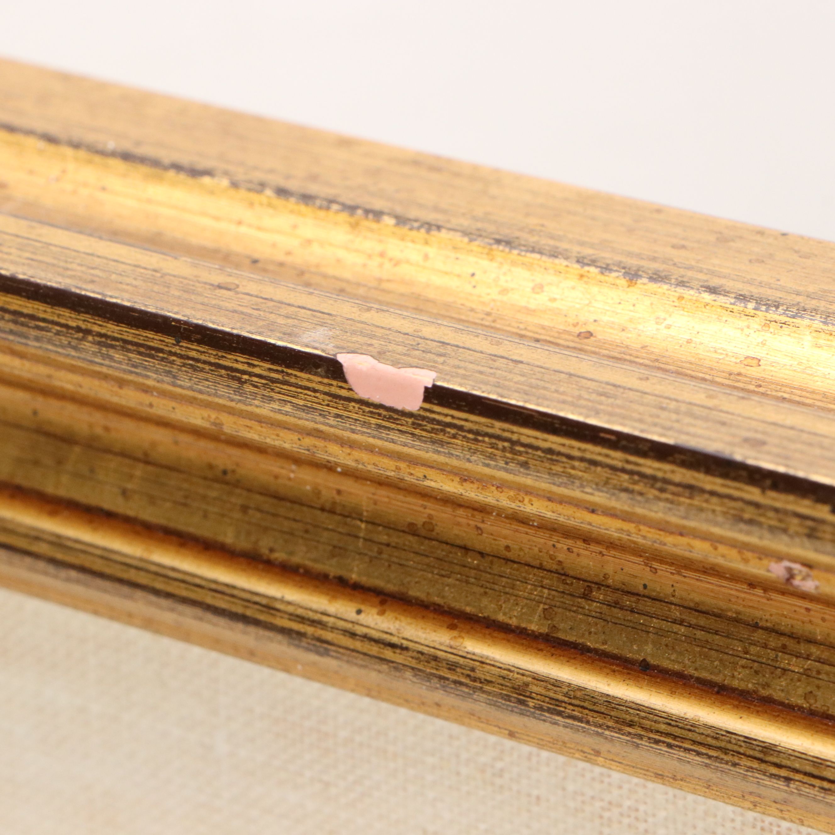 Elisabeth Blackwell Pineapple Flower Hand-Colored Engraving, 18th Century