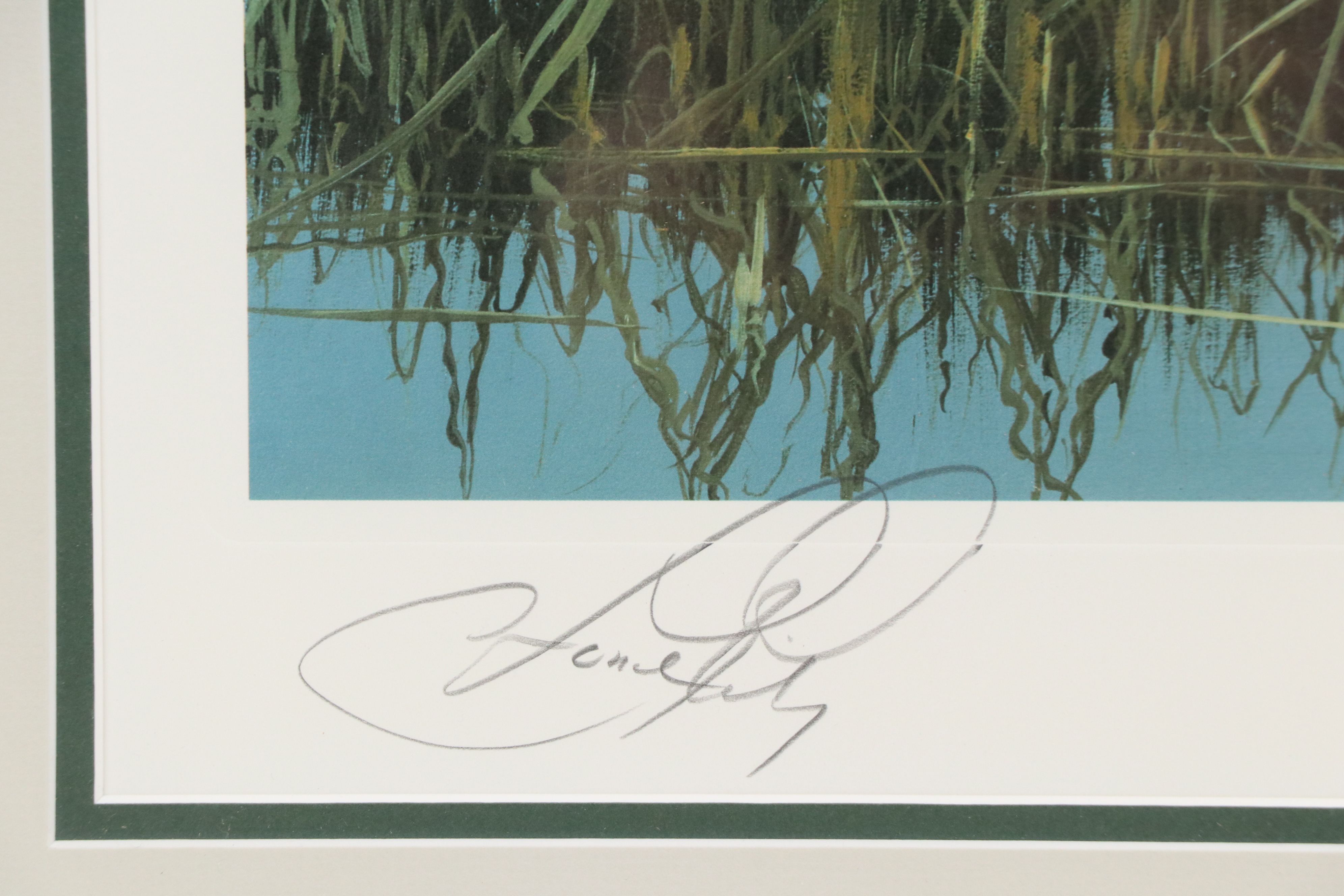 C. Ford Riley Offset Lithograph of Florida Landscape, Late 20th to 21st Century