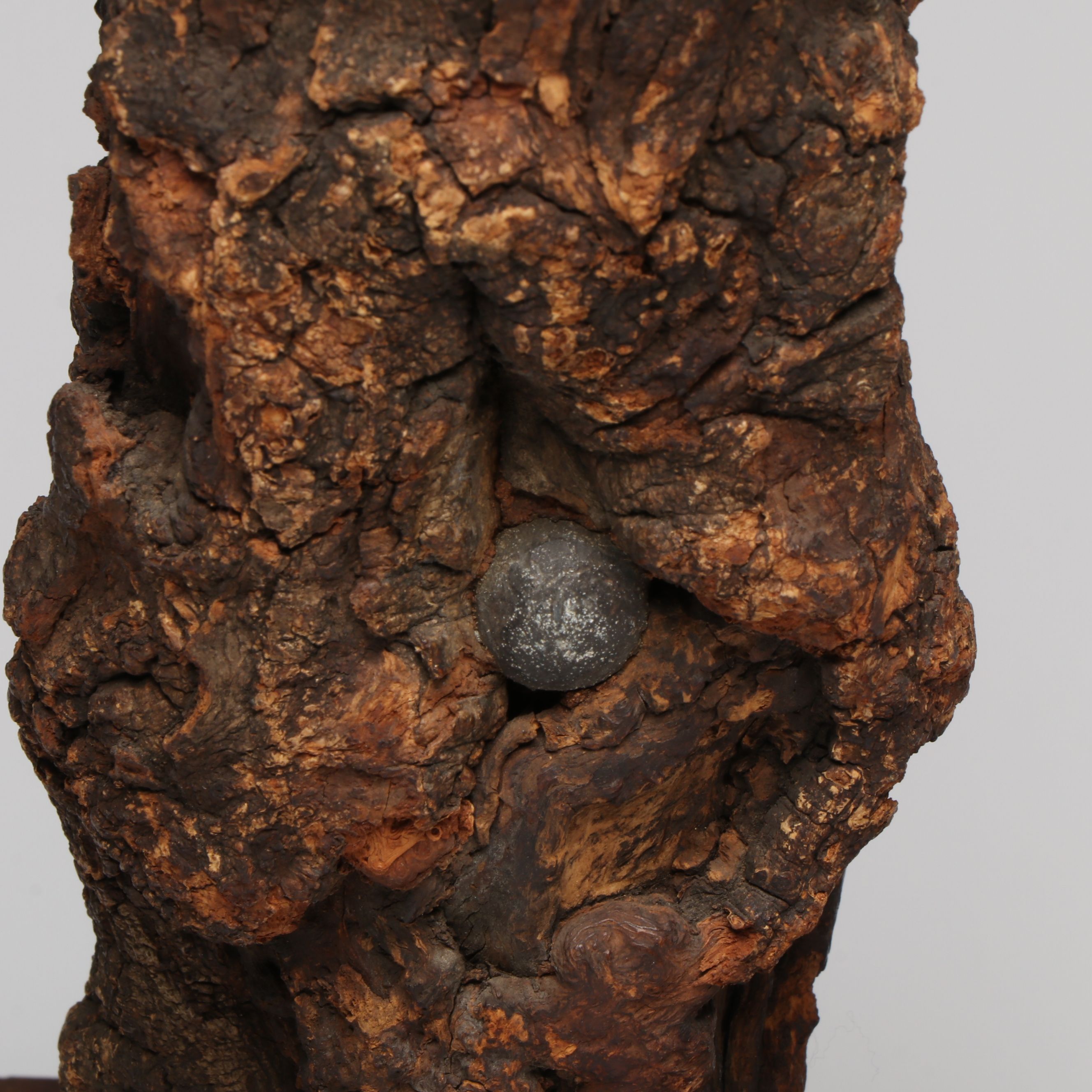 American Civil War Bullets, Continental Army Buttons and Other Artifacts