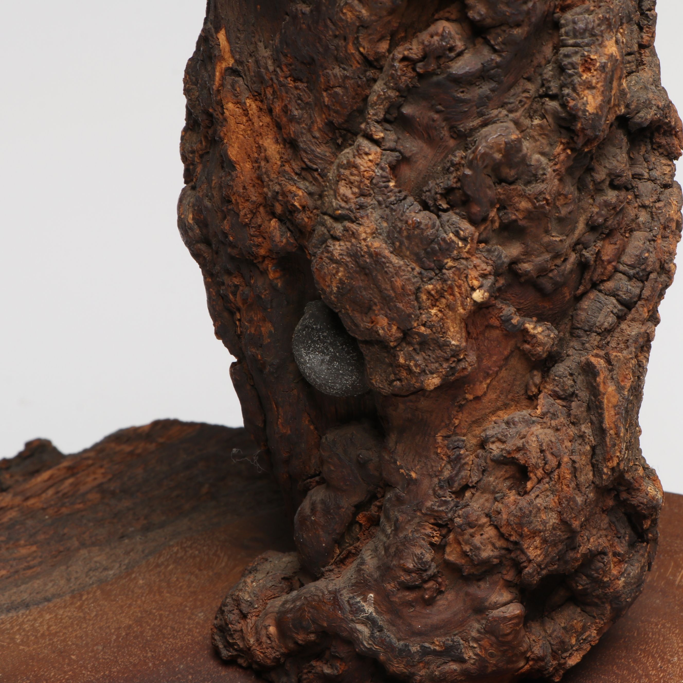 American Civil War Bullets, Continental Army Buttons and Other Artifacts