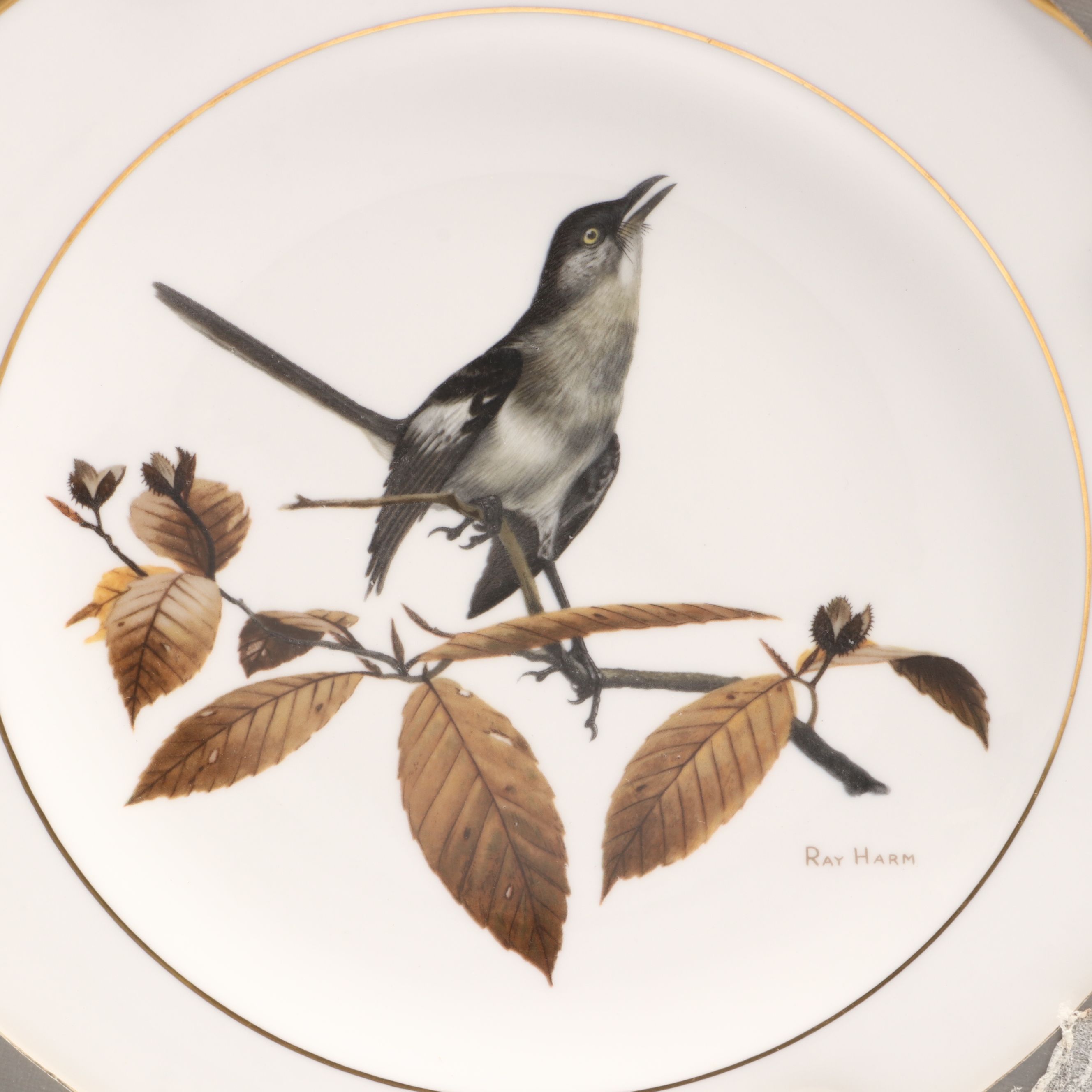 Ray Harm for Spode "American Songbirds" and Avon "Cardinal" Collector Plates