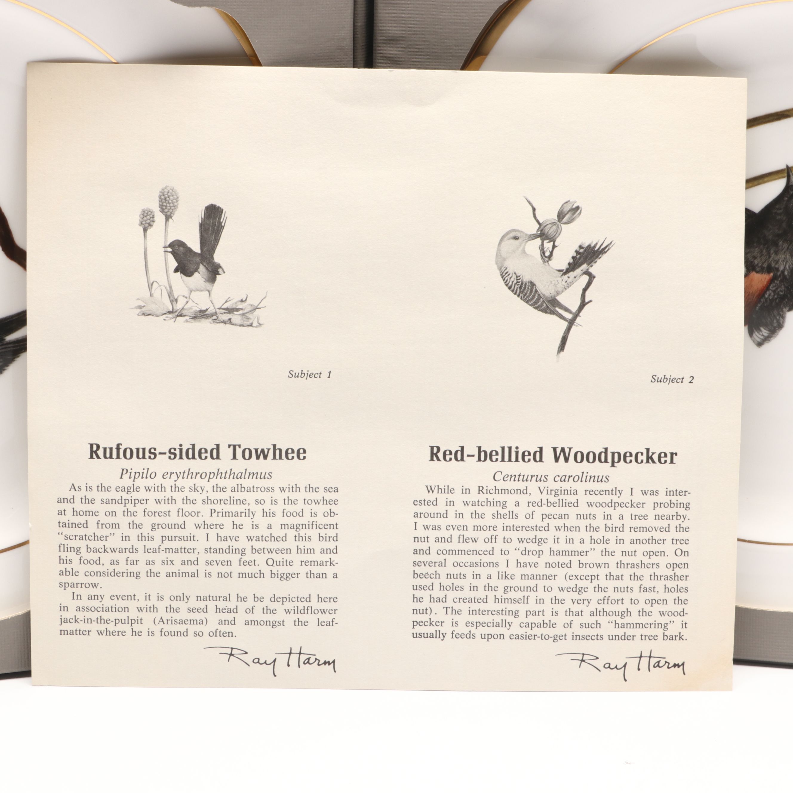 Ray Harm for Spode "American Songbirds" and Avon "Cardinal" Collector Plates