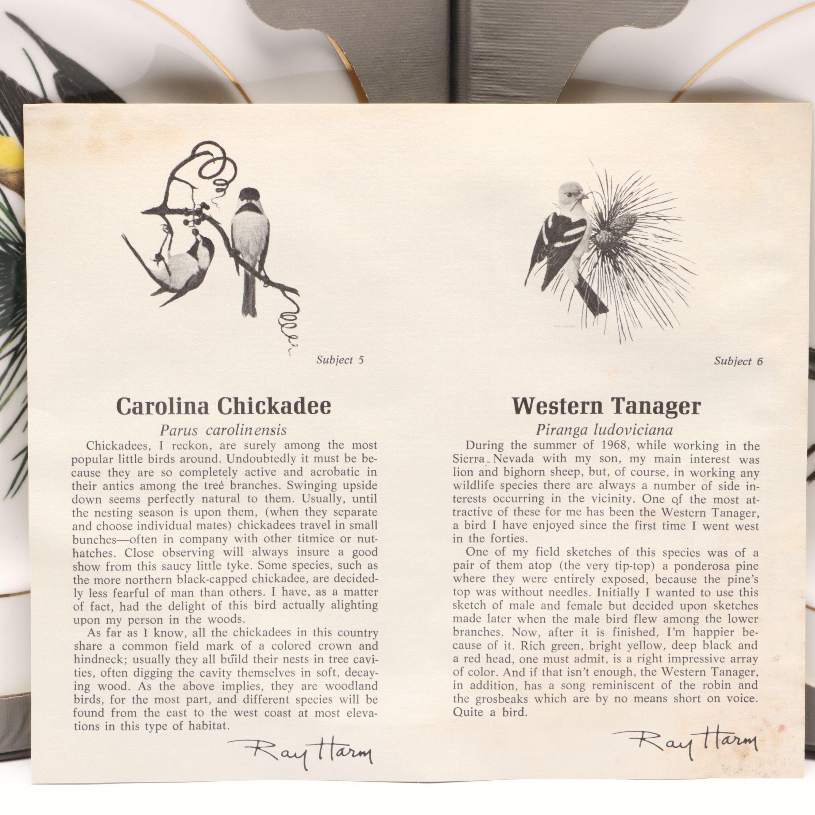 Ray Harm for Spode "American Songbirds" and Avon "Cardinal" Collector Plates