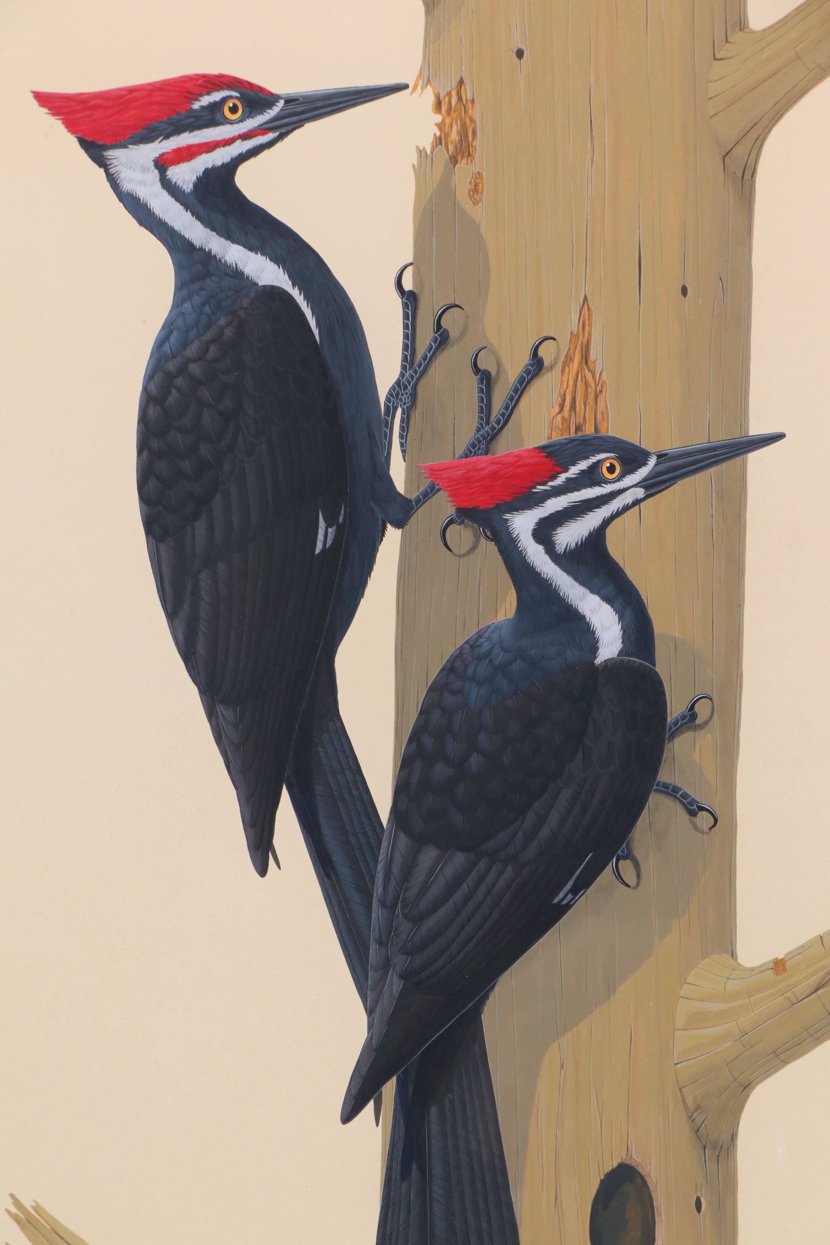 Lucien Harris III Gouache Painting of Pileated Woodpeckers, 1982