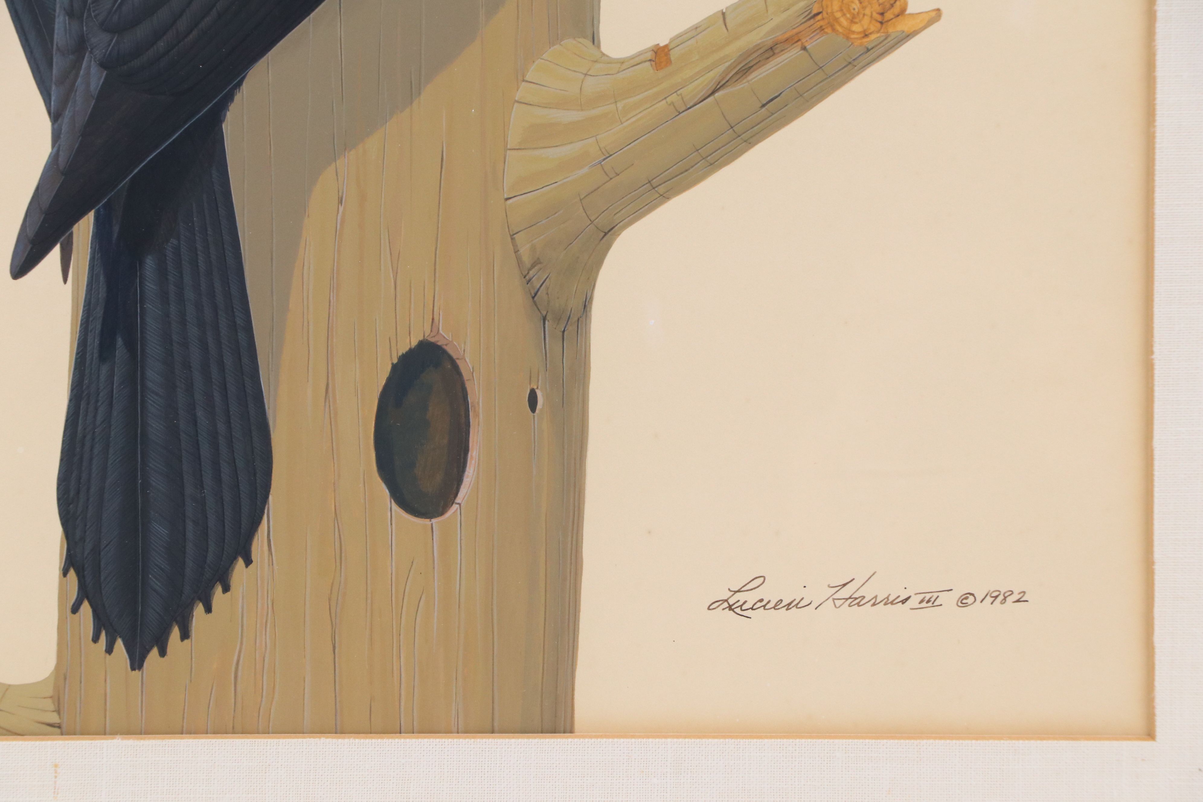 Lucien Harris III Gouache Painting of Pileated Woodpeckers, 1982