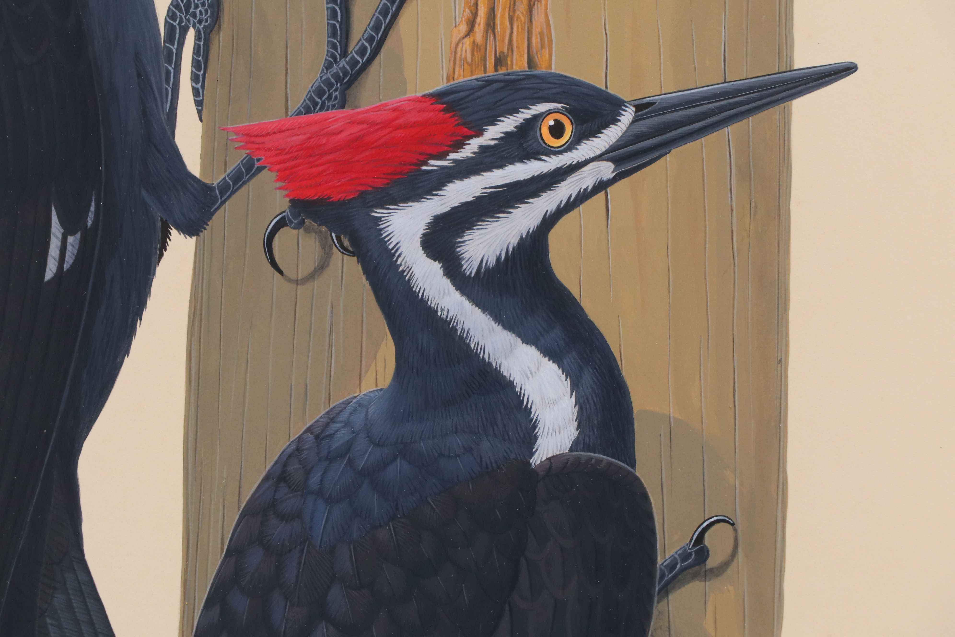 Lucien Harris III Gouache Painting of Pileated Woodpeckers, 1982