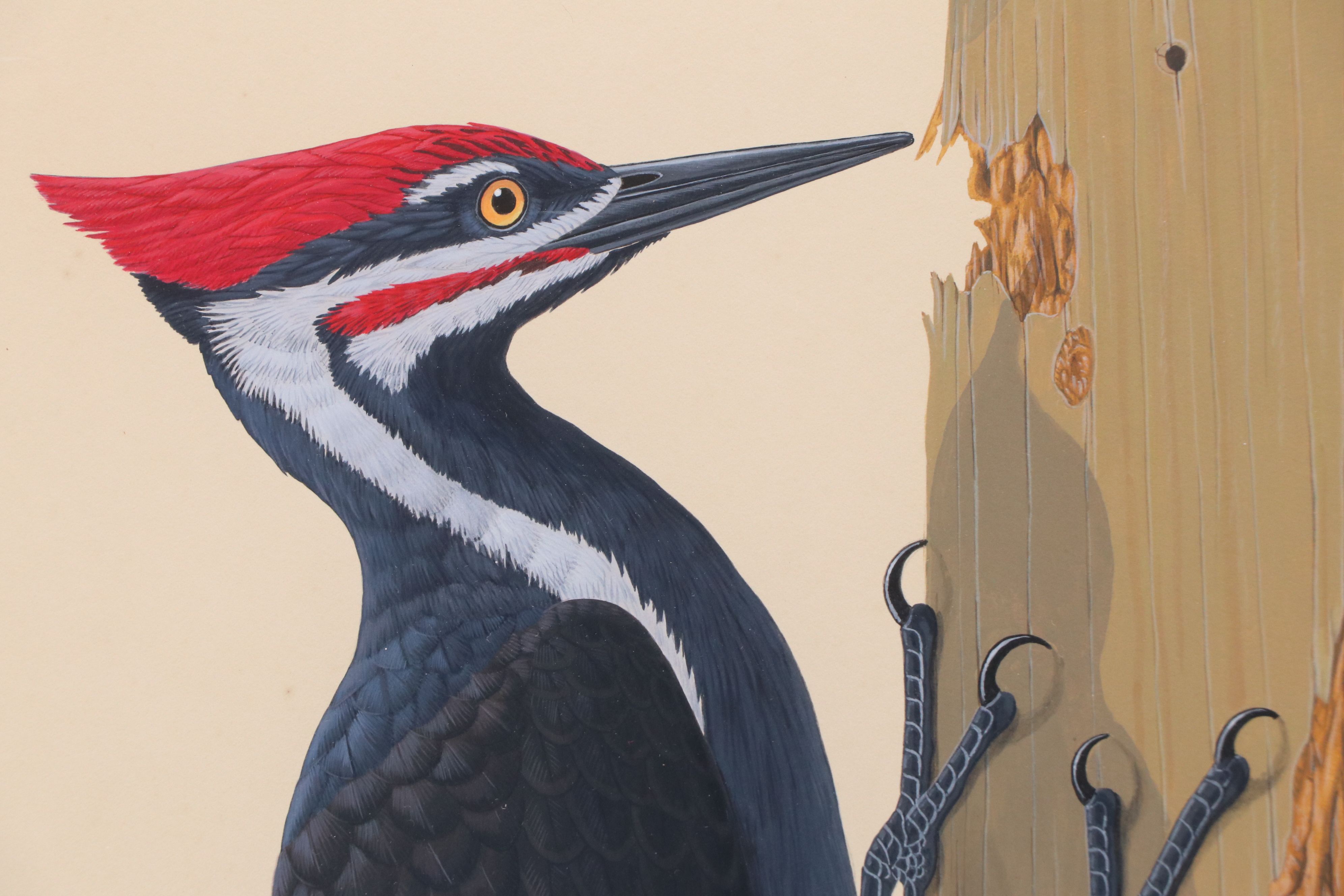 Lucien Harris III Gouache Painting of Pileated Woodpeckers, 1982
