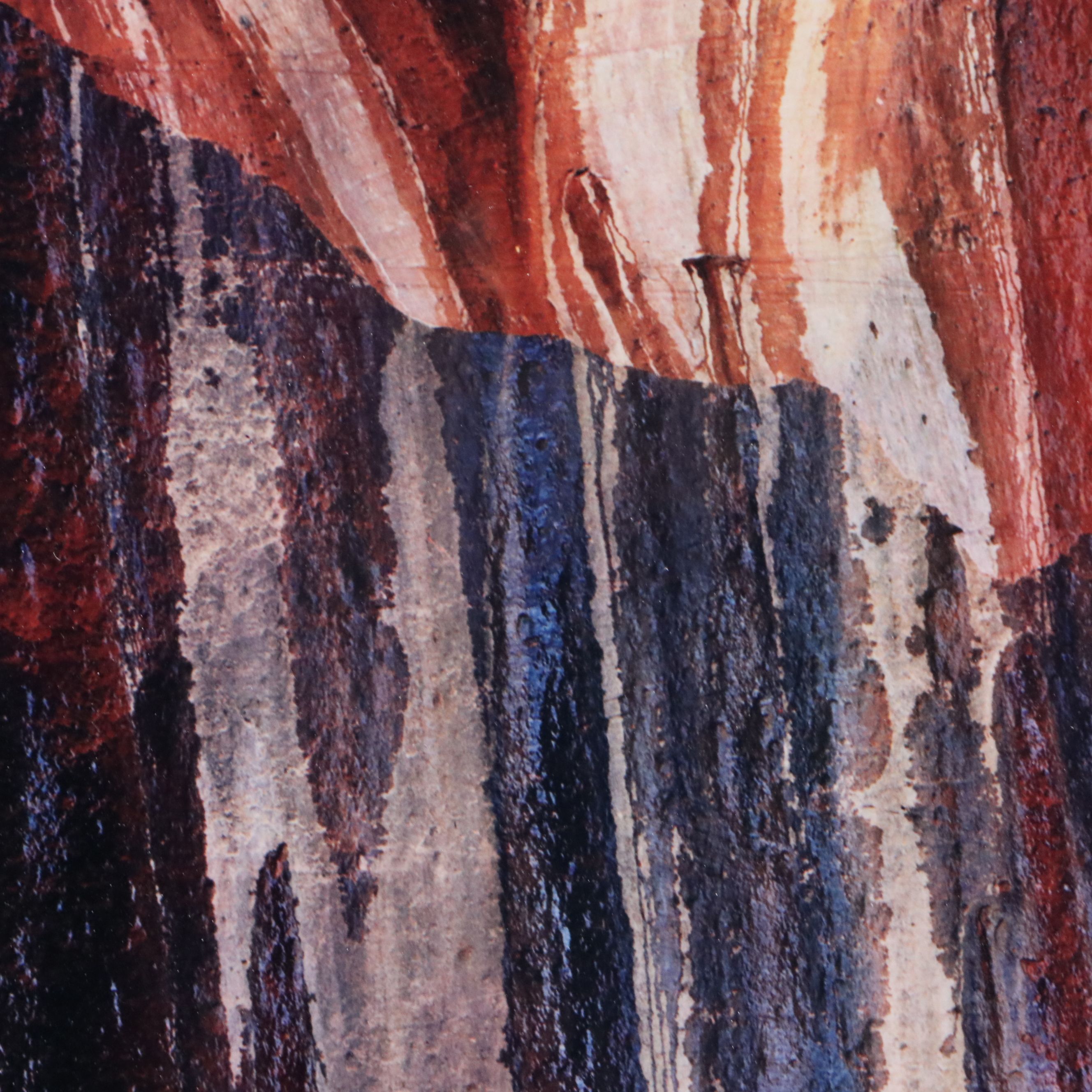 Eliot Porter Chromogenic Photograph "Water-Streaked Wall," Late 20th Century