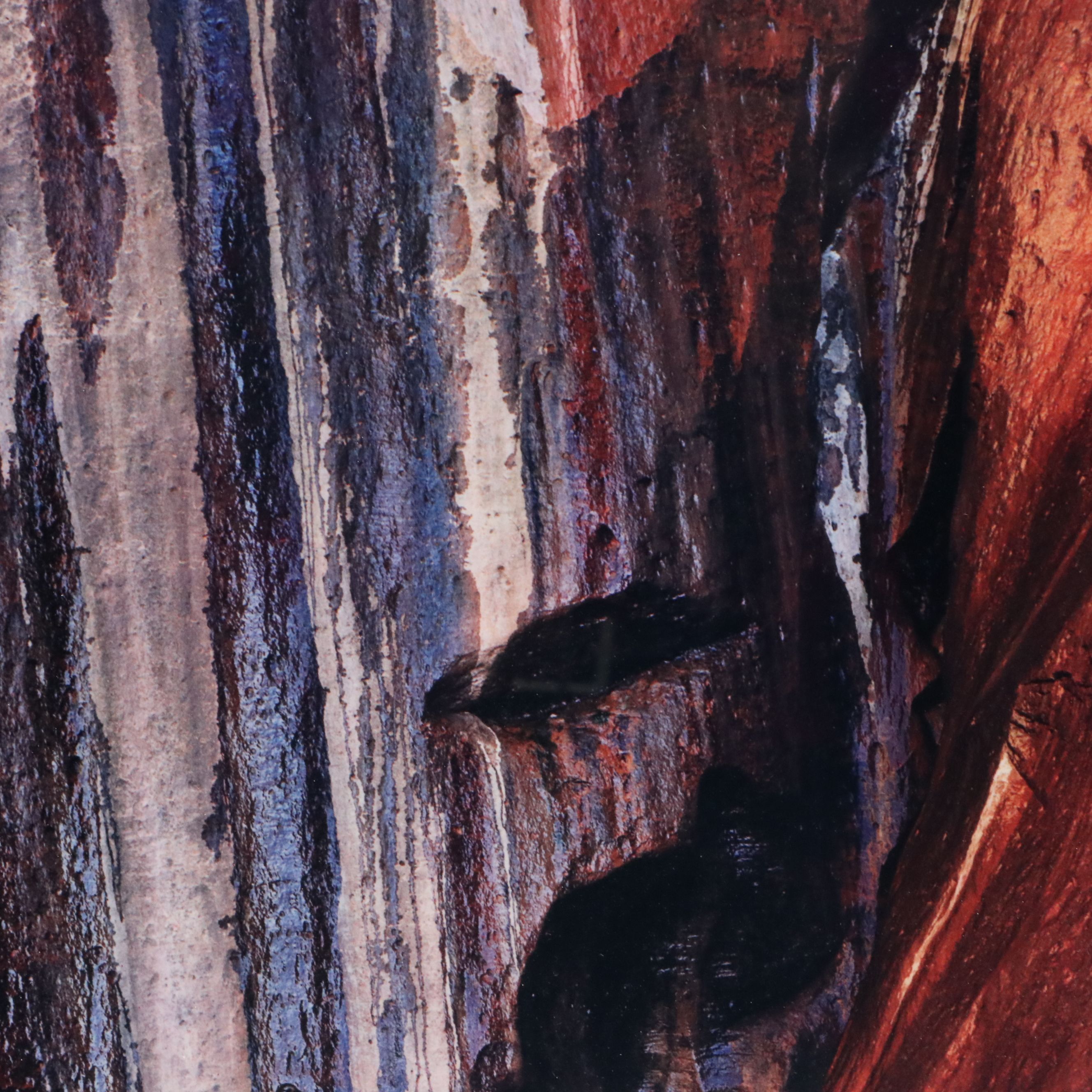 Eliot Porter Chromogenic Photograph "Water-Streaked Wall," Late 20th Century