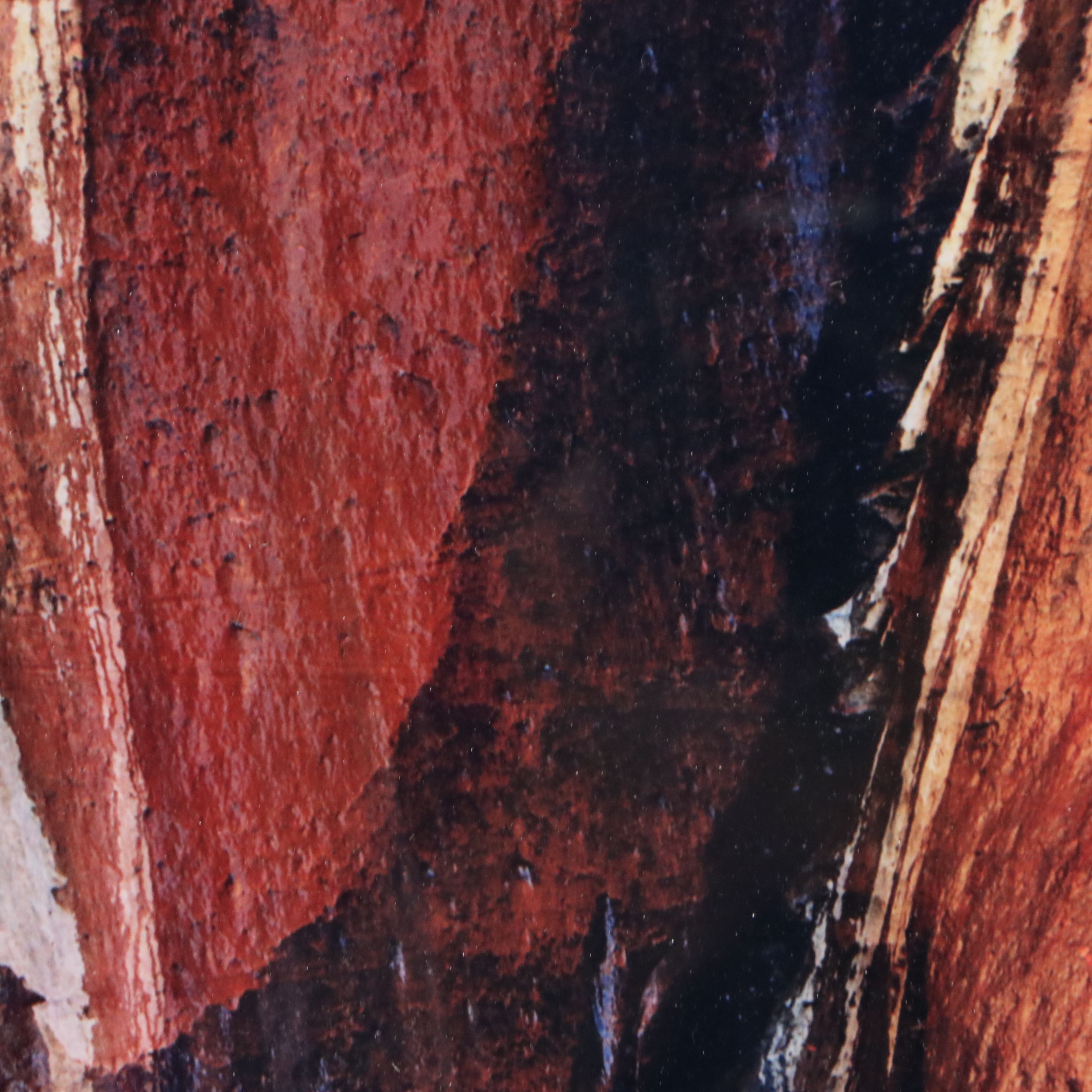 Eliot Porter Chromogenic Photograph "Water-Streaked Wall," Late 20th Century