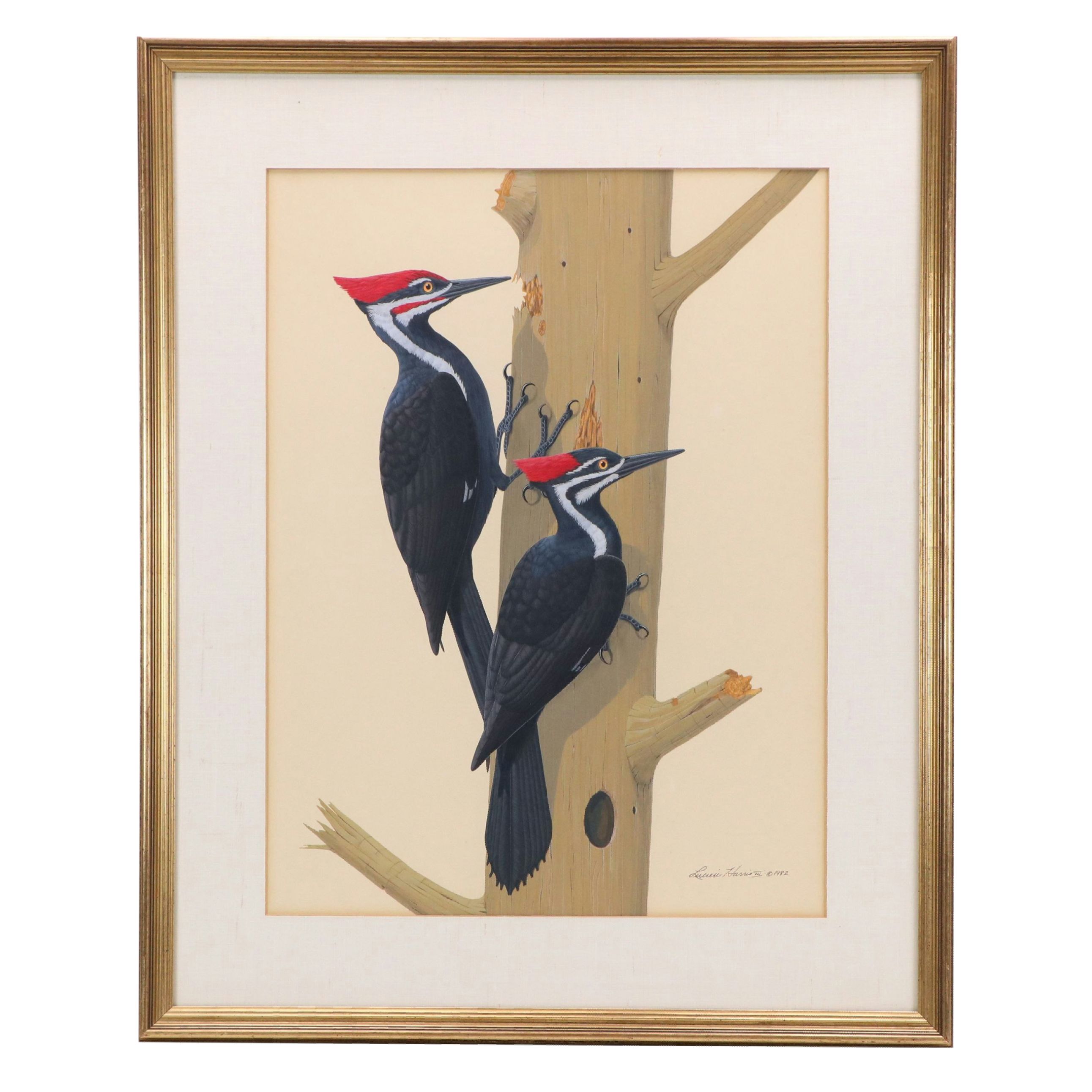 Lucien Harris III Gouache Painting of Pileated Woodpeckers, 1982