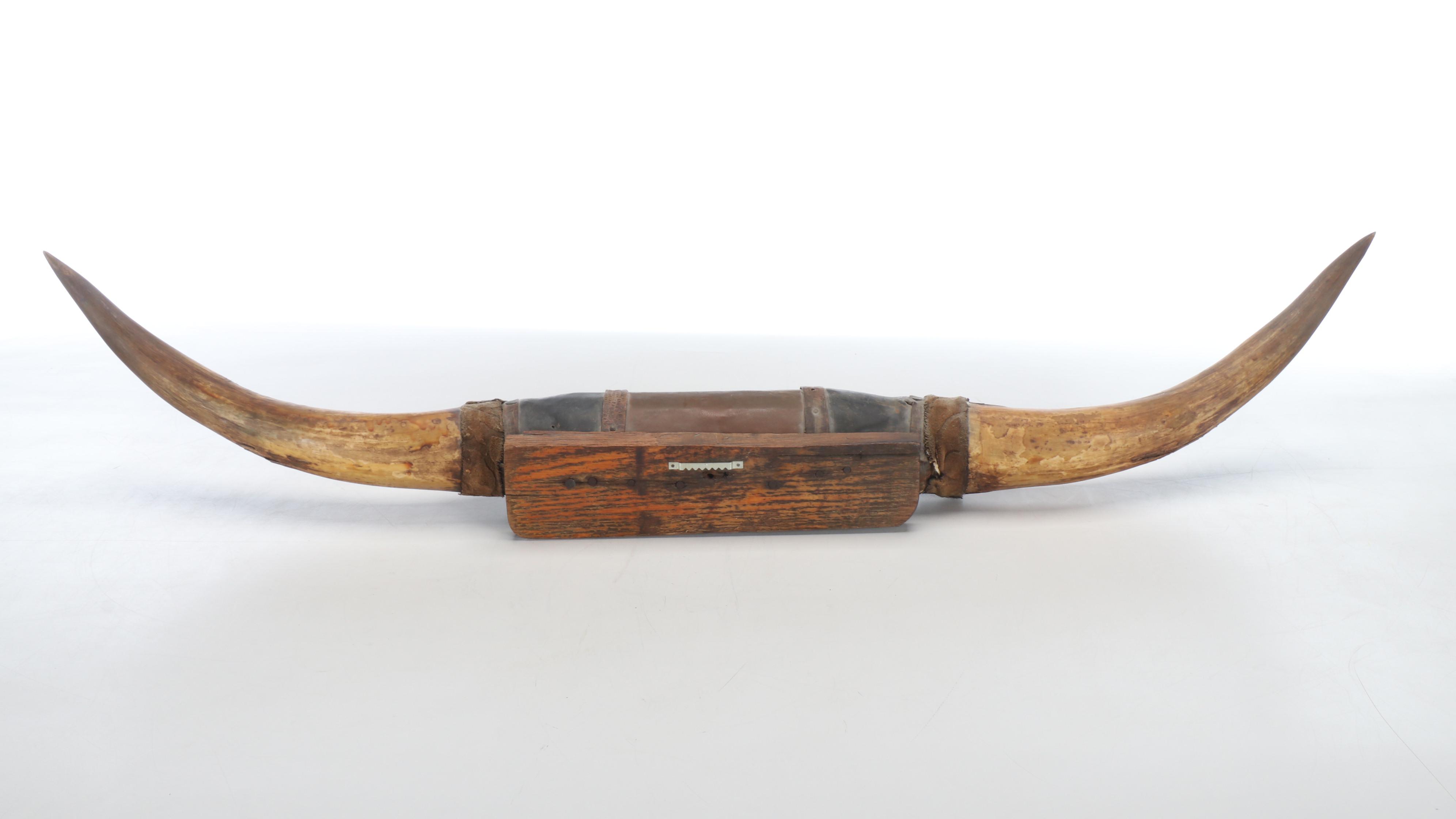 Mexican Longhorn Leather Wrapped Mounted Horns