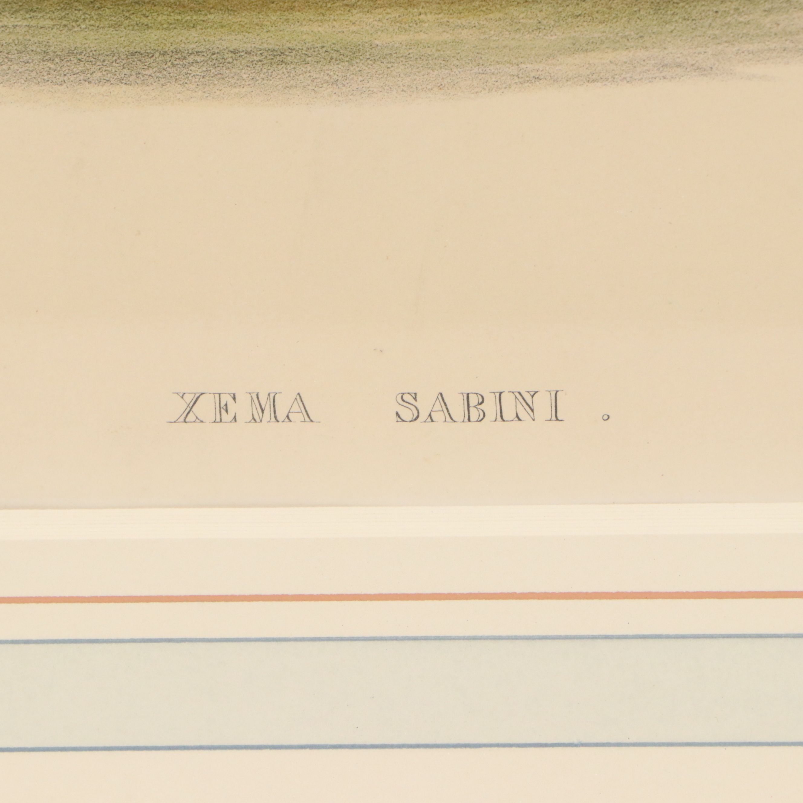 Hand-Colored Lithograph "Xena Sabini"