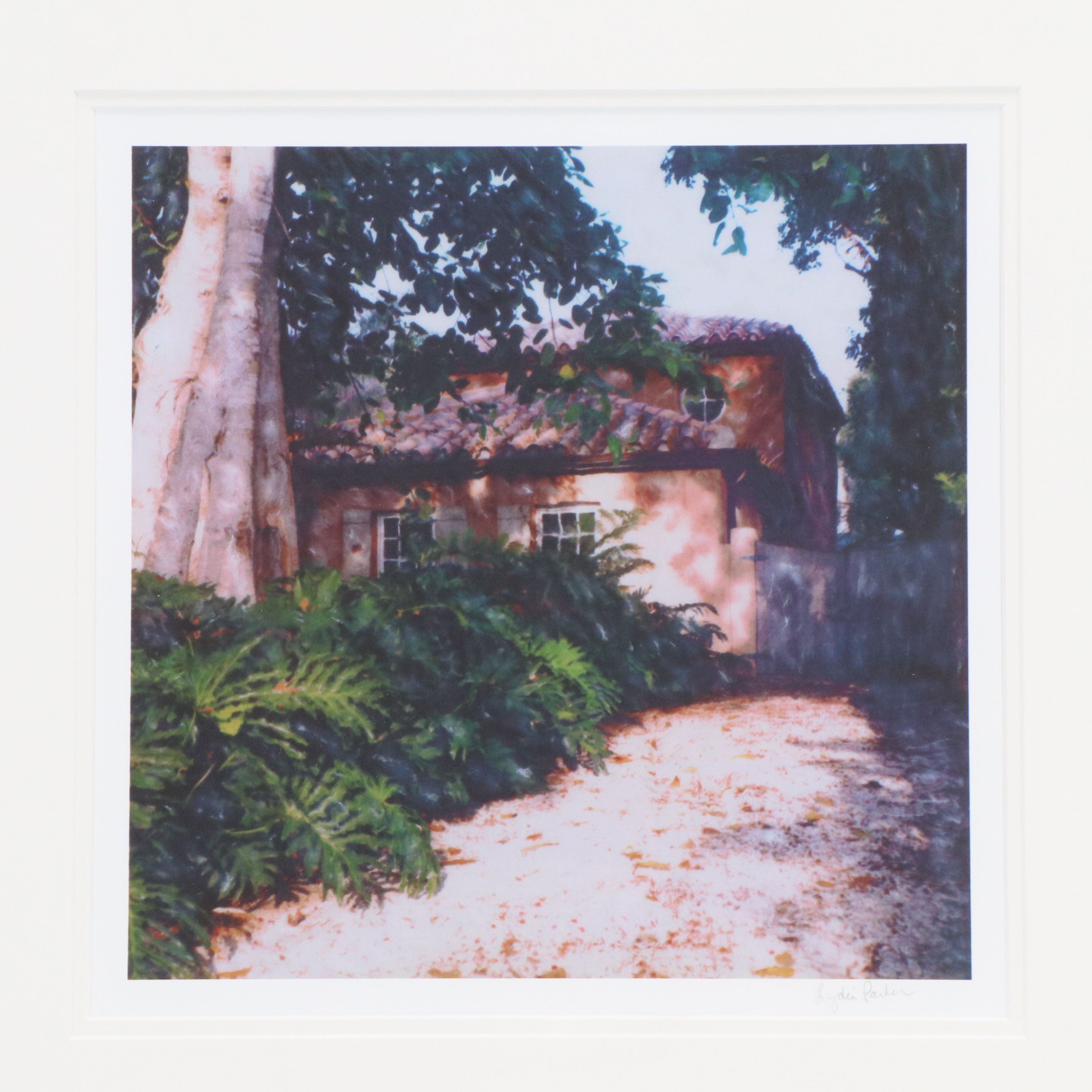 Lydia Packer Digital Photographs of Suburban Scenery, 21st Century