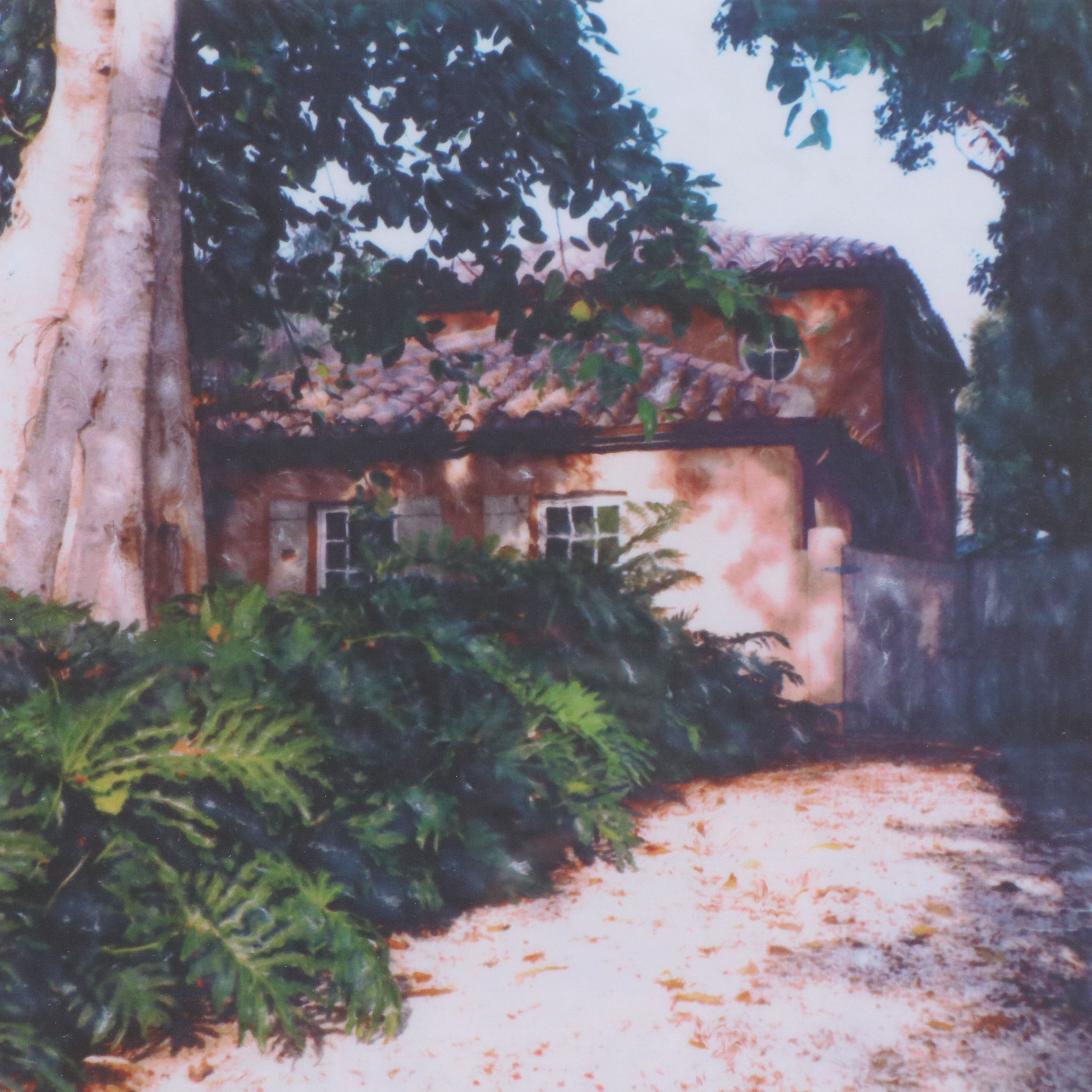 Lydia Packer Digital Photographs of Suburban Scenery, 21st Century