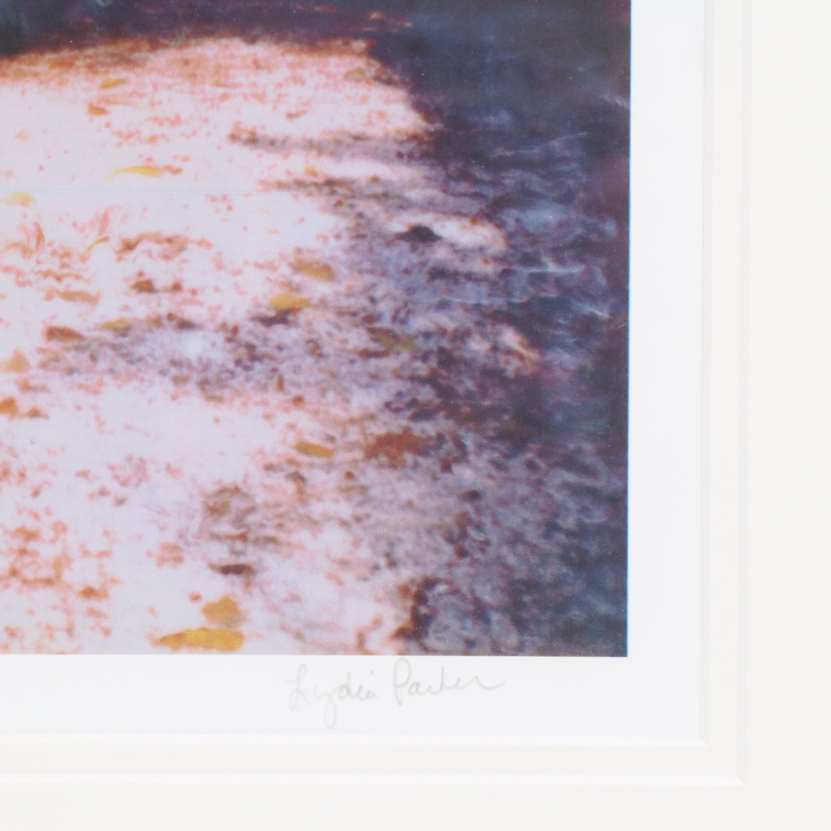 Lydia Packer Digital Photographs of Suburban Scenery, 21st Century