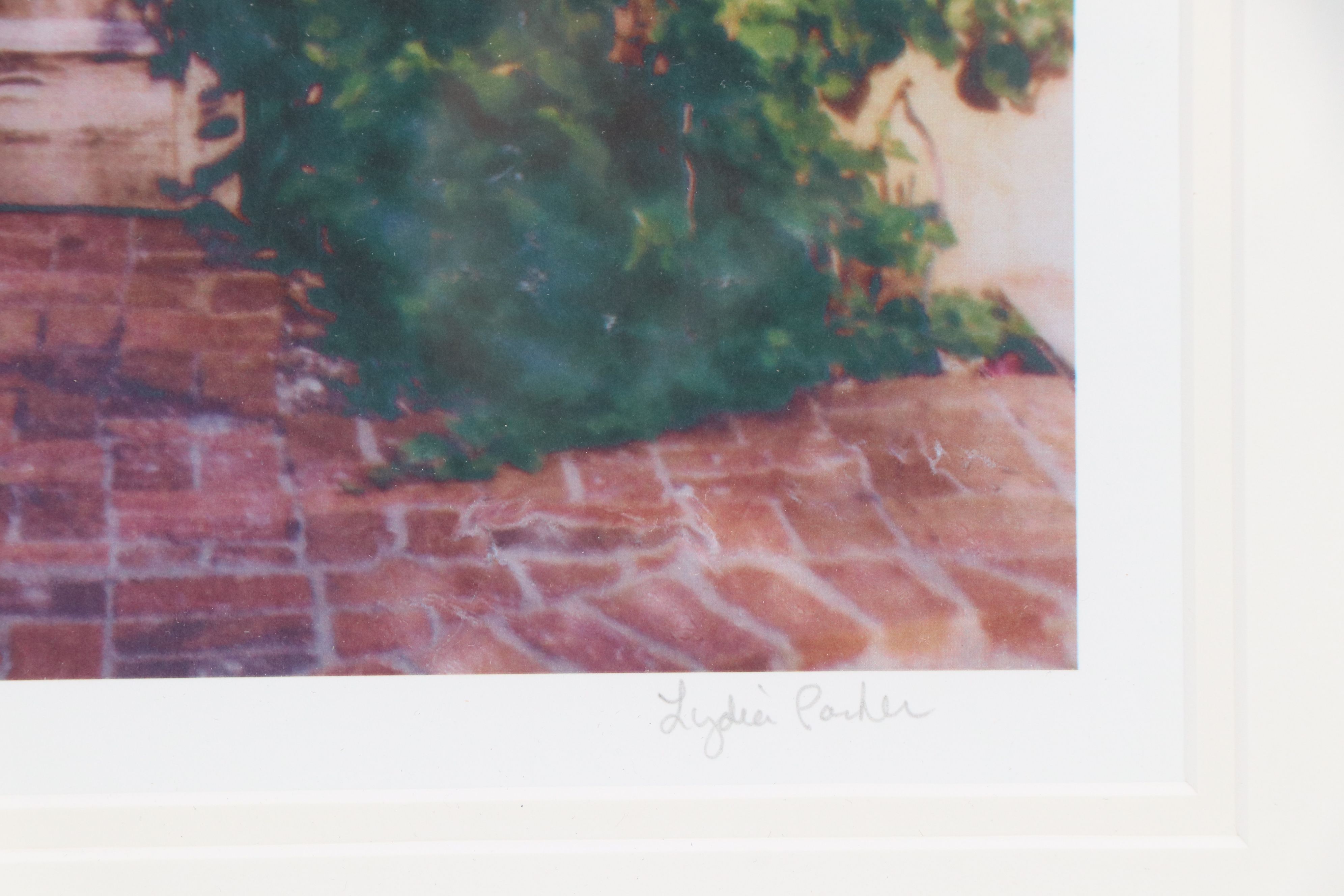 Lydia Packer Digital Photographs of Suburban Scenery, 21st Century