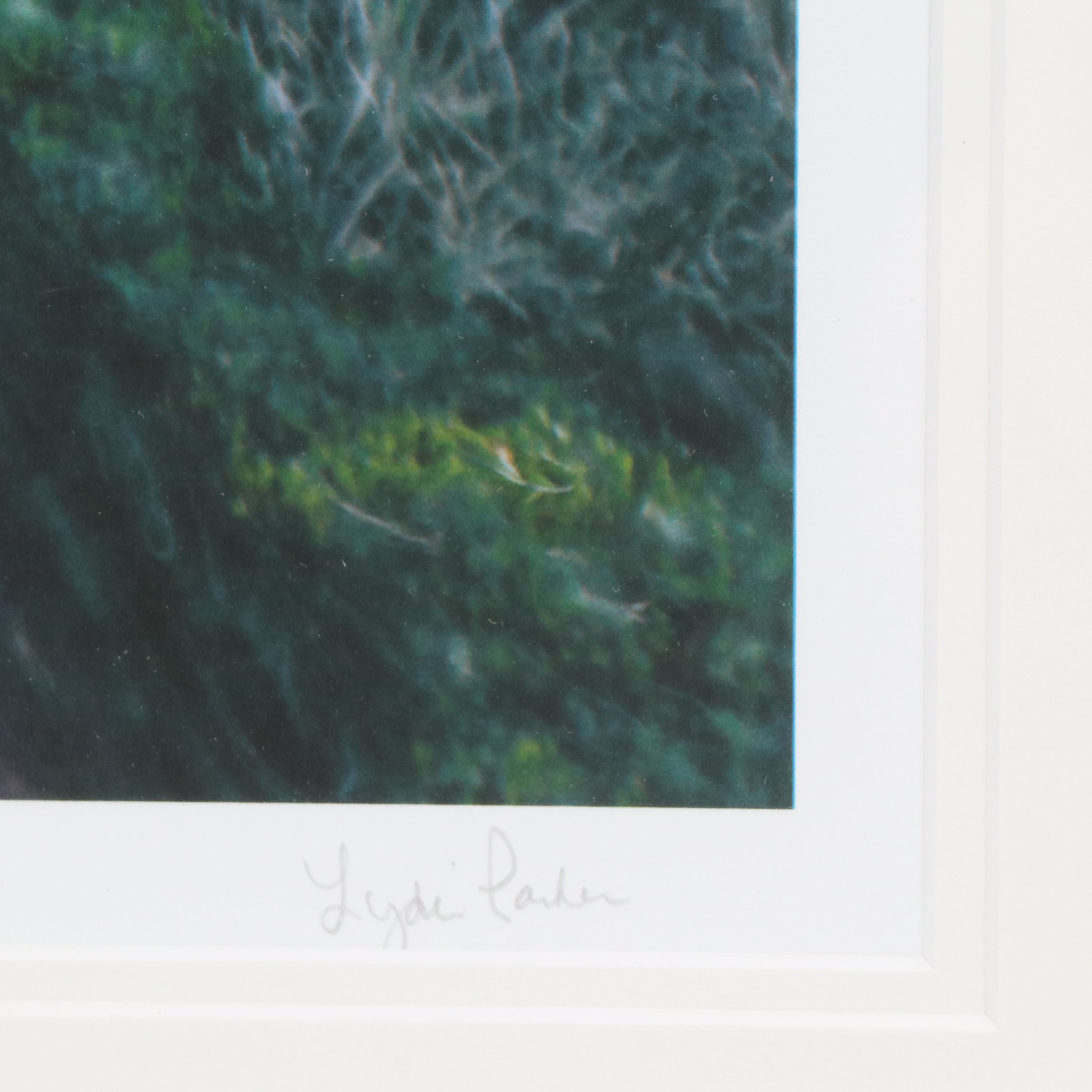 Lydia Packer Digital Photographs of Suburban Scenery, 21st Century