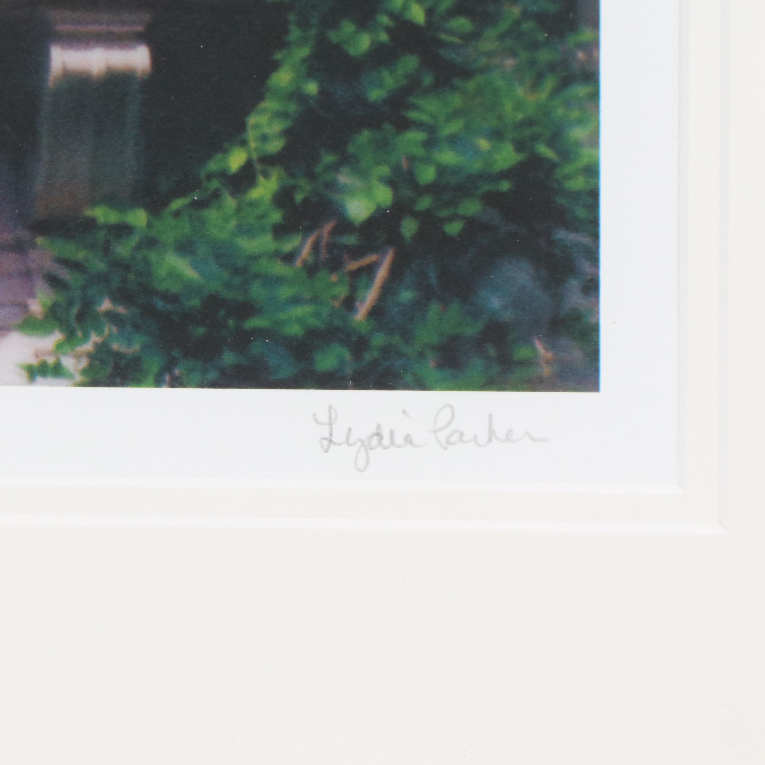 Lydia Packer Digital Photographs of Suburban Scenery, 21st Century