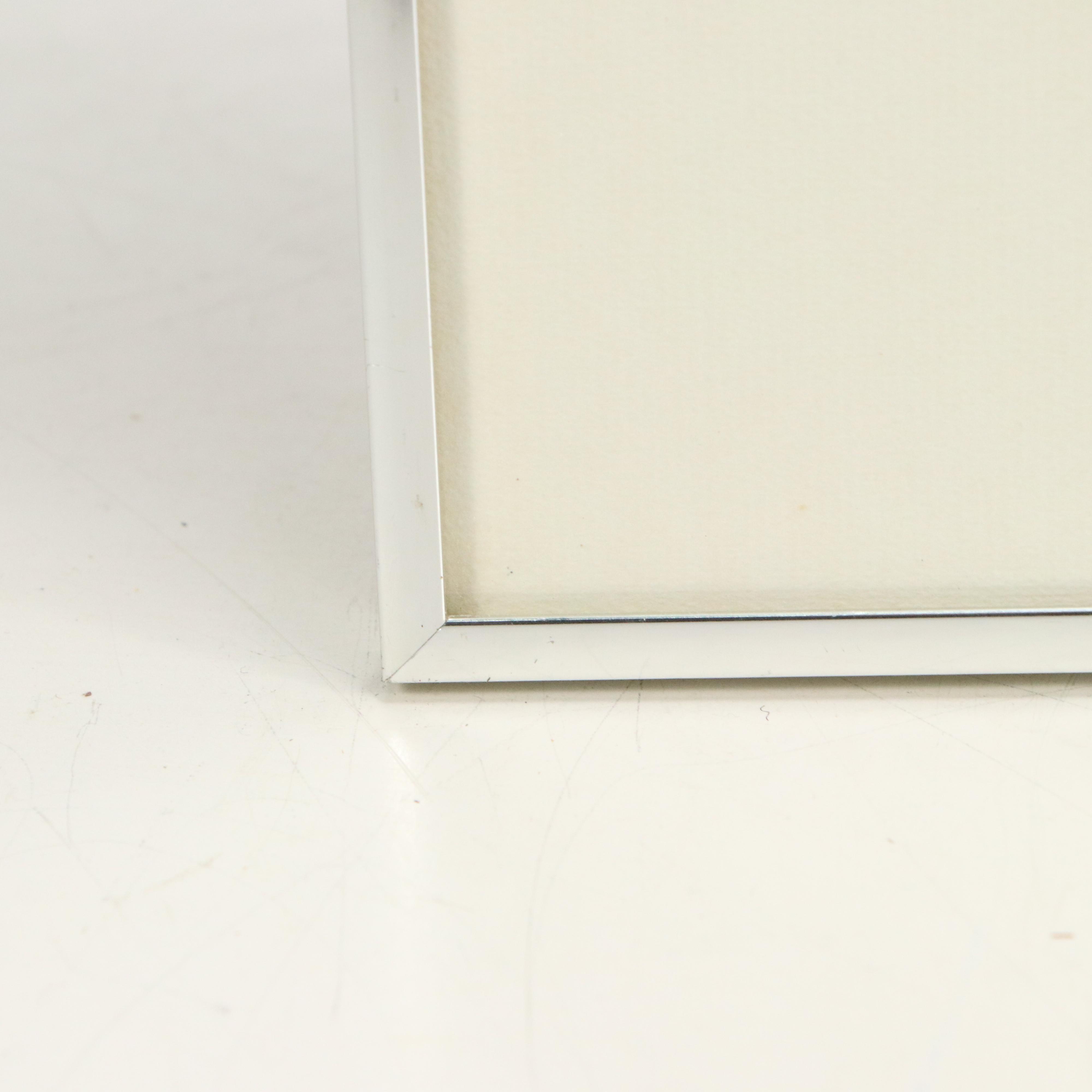 Charley Harper Limited Edition Serigraph Print "Bittern Suite," 1978