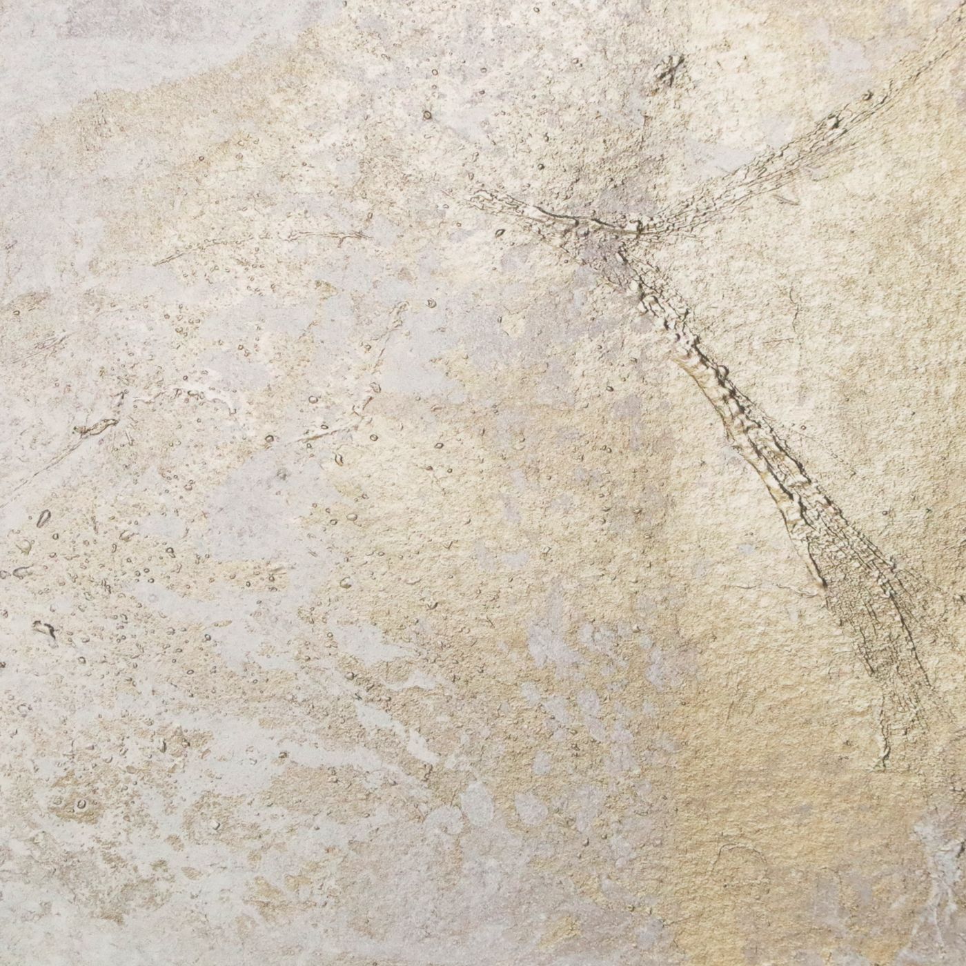 Contemporary Embellished Abstract Print