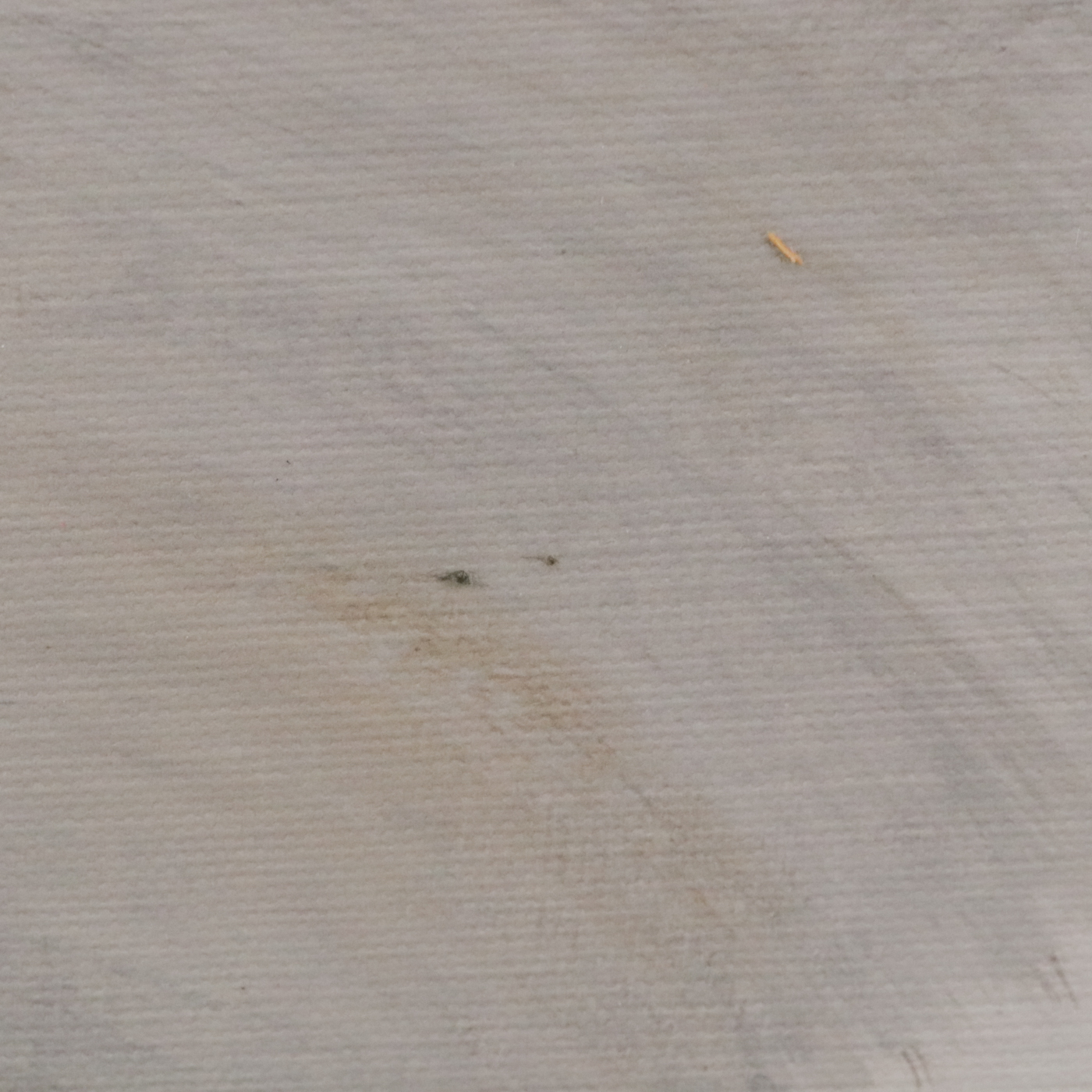 Contemporary Giclée "Flying Elegance"