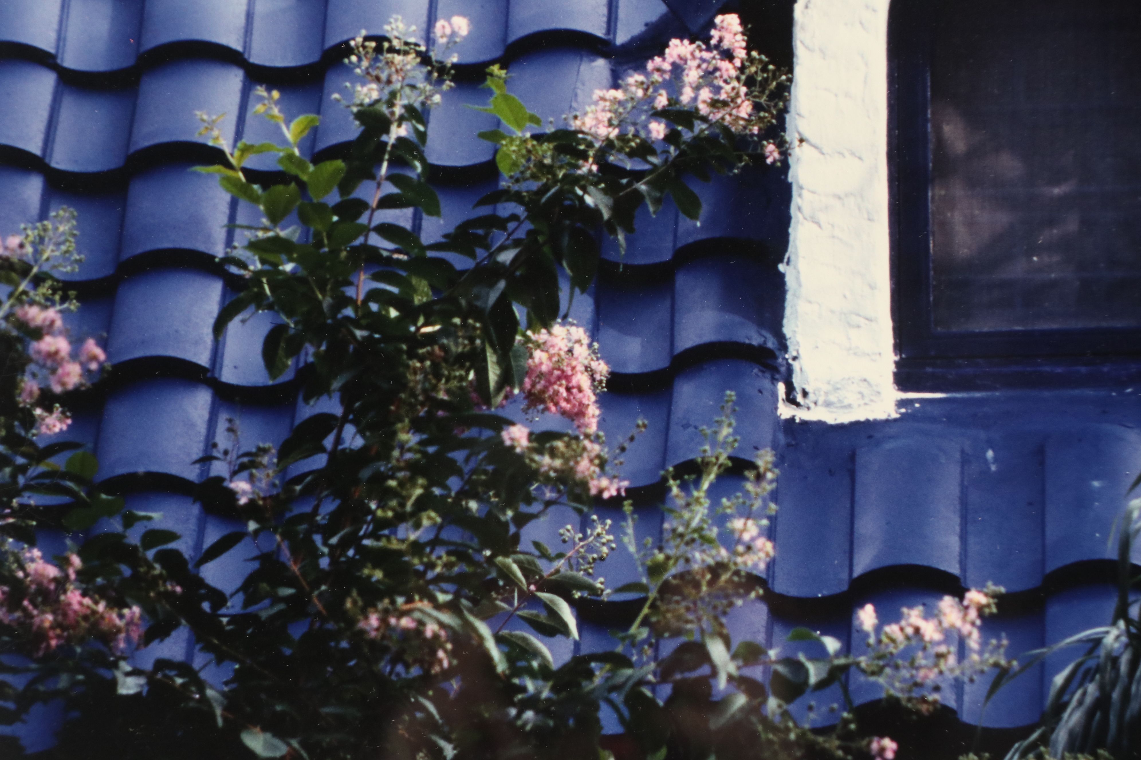 Lydia Packer Chromogenic Photograph of Blue Dormer Window, Late 20th Century