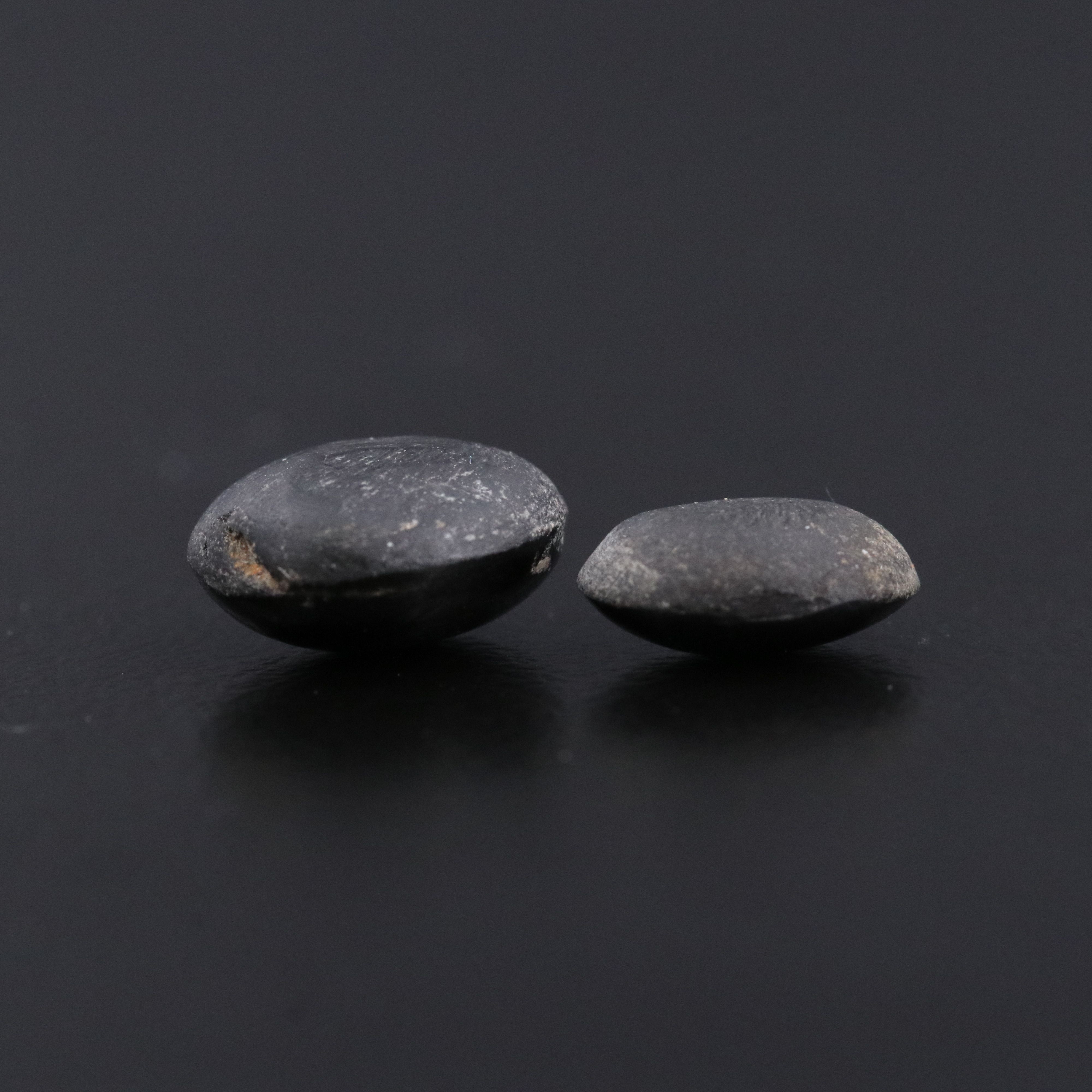 Loose 4.87 CTW Star Diopsides