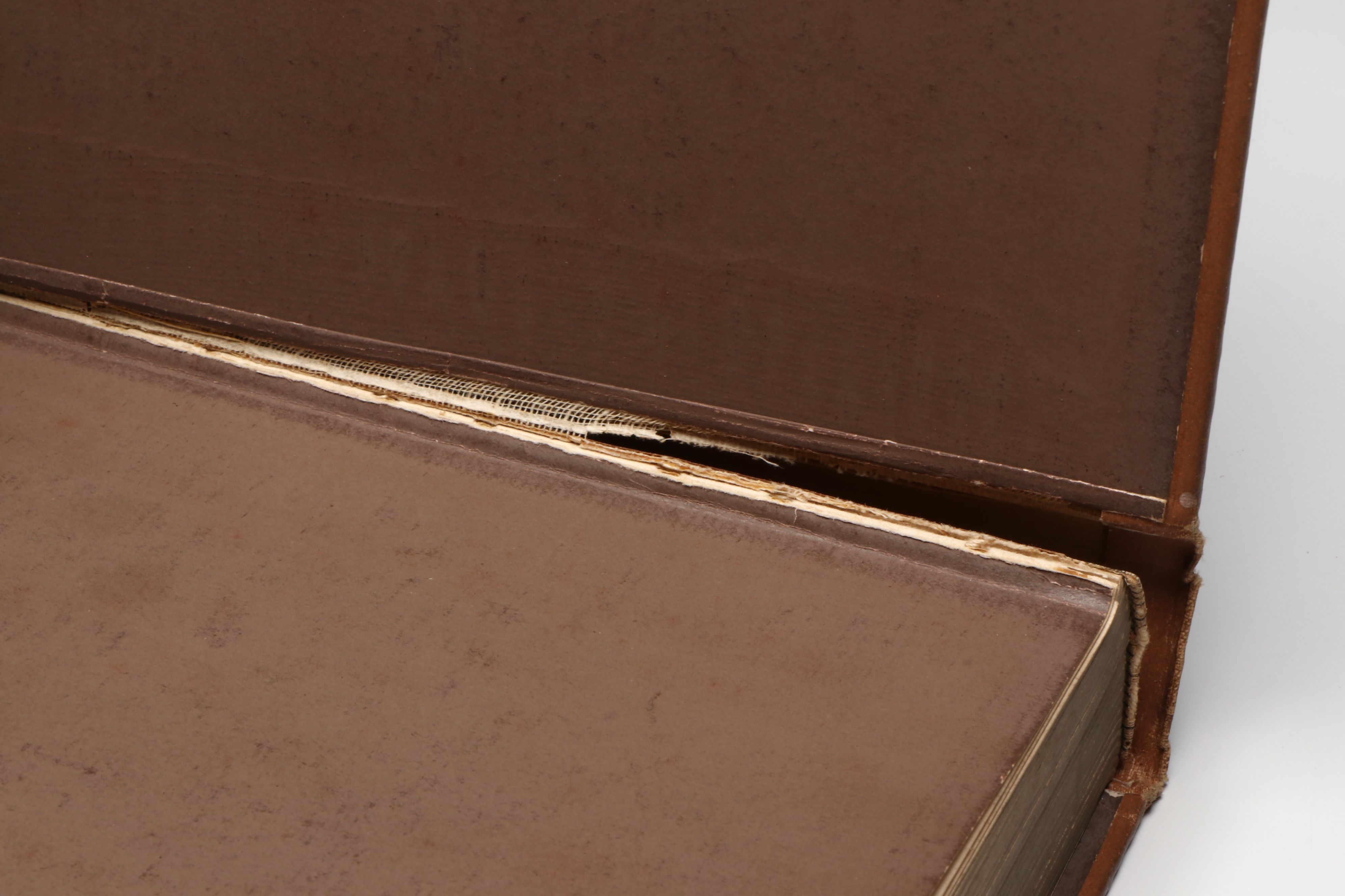 Illustrated "The Merry Adventures of Robin Hood" by Howard Pyle, 1910