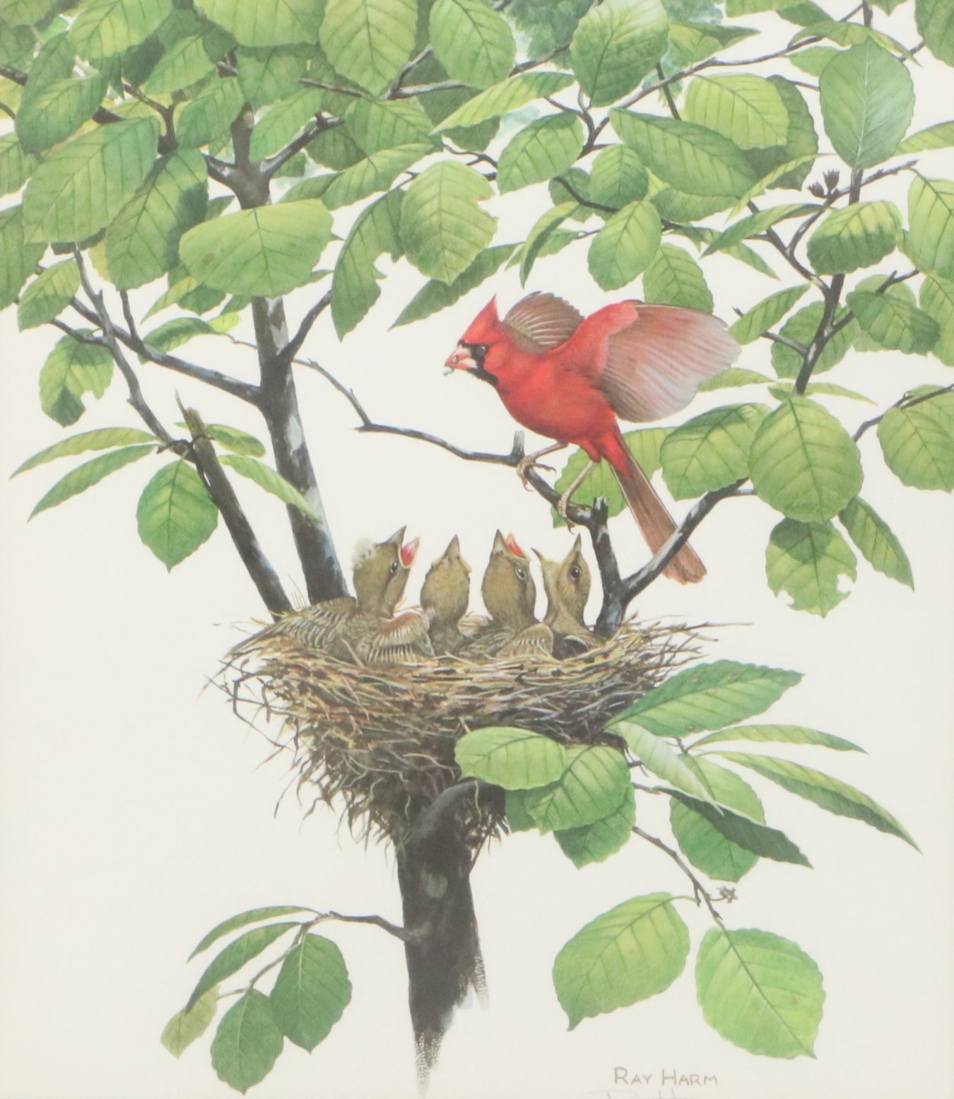 Ray Harm Offset Lithograph "Cardinal," Late 20th Century