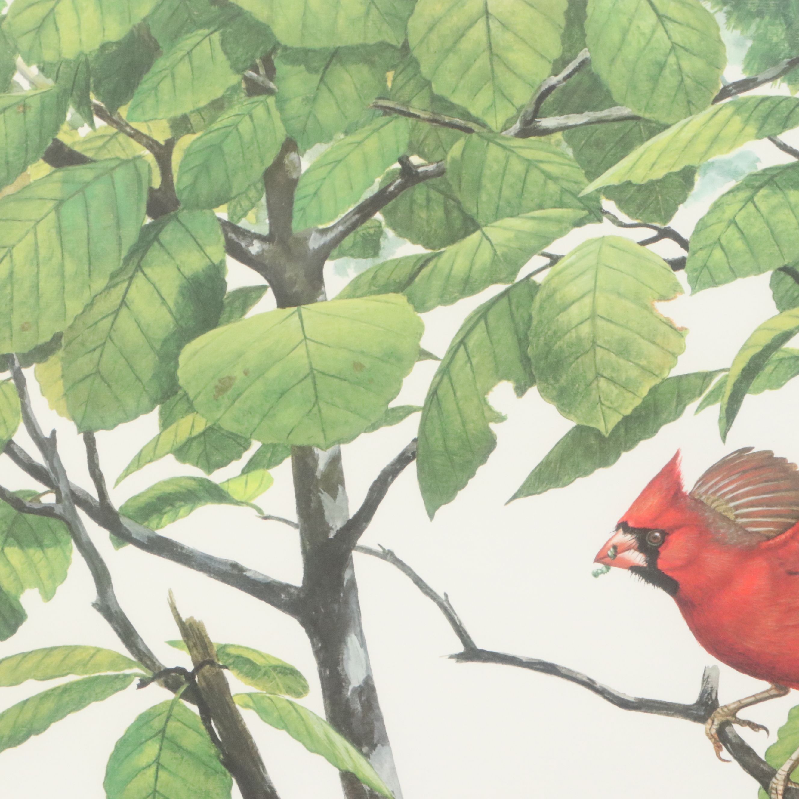 Ray Harm Offset Lithograph "Cardinal," Late 20th Century