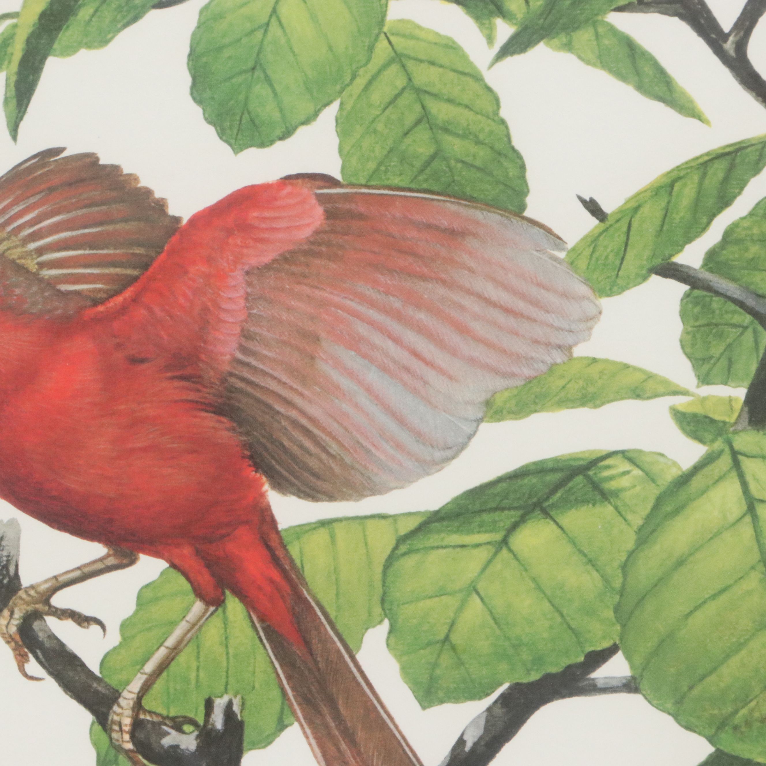 Ray Harm Offset Lithograph "Cardinal," Late 20th Century
