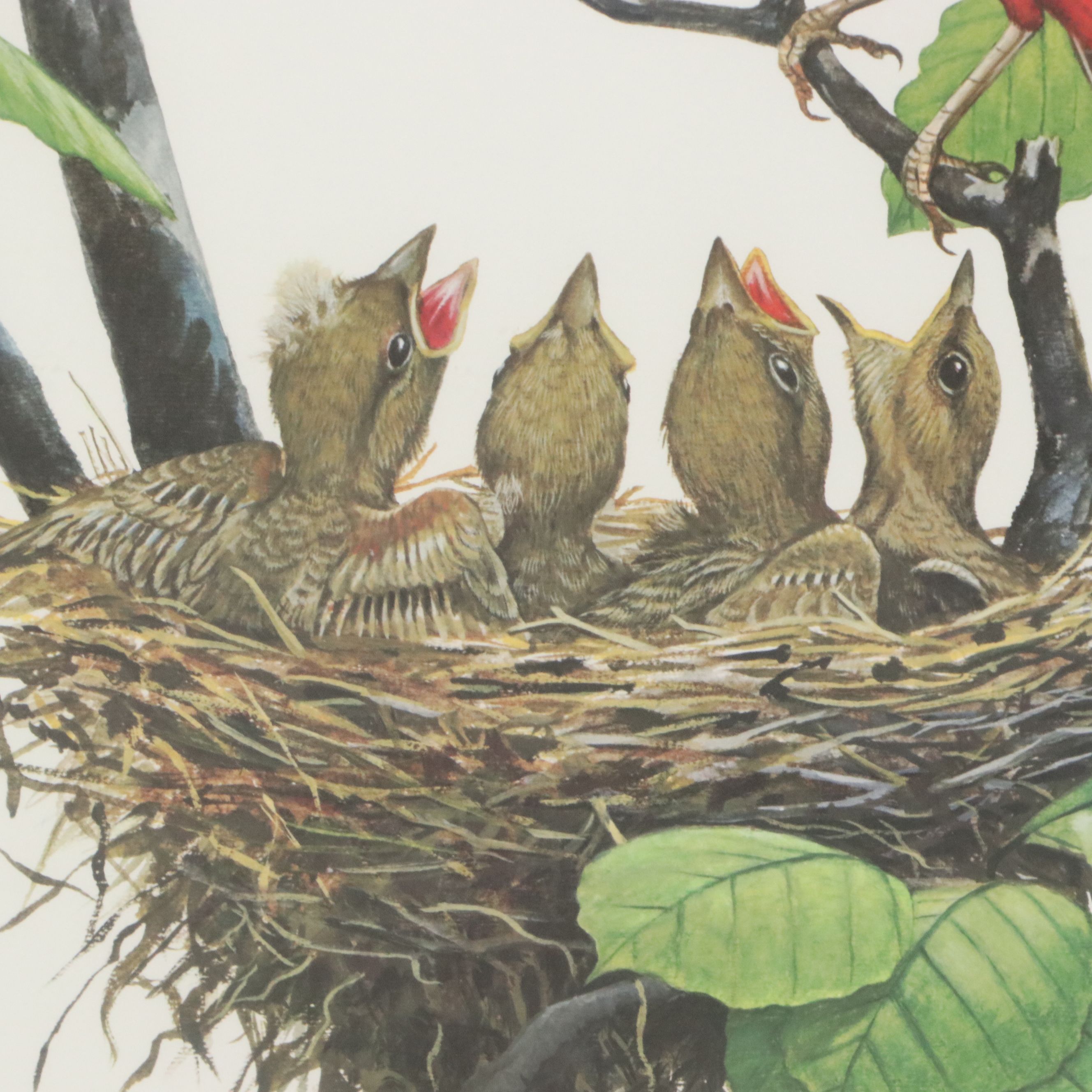 Ray Harm Offset Lithograph "Cardinal," Late 20th Century