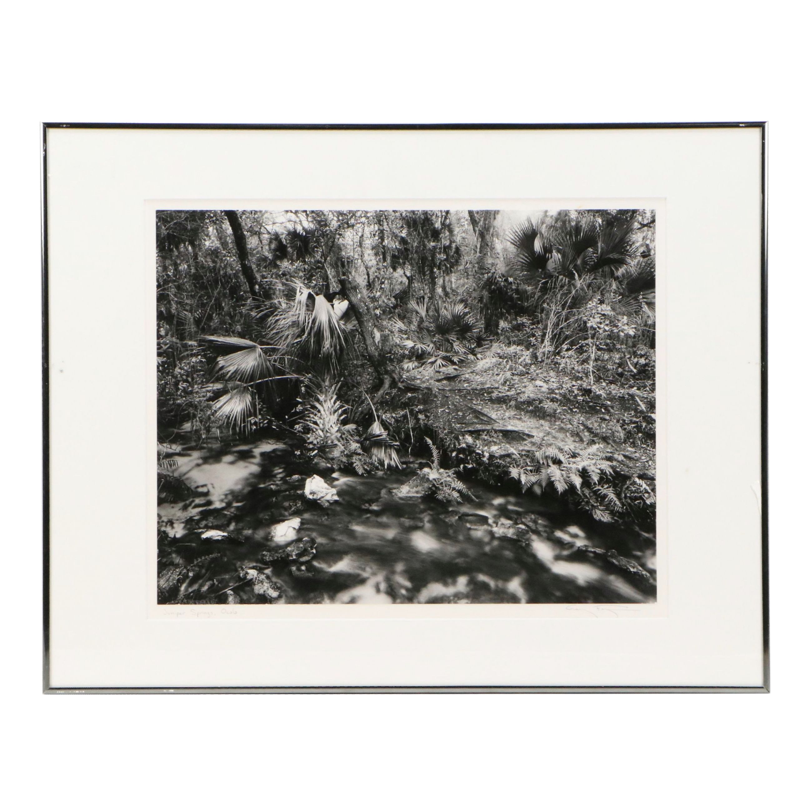 Gary Faye Silver Gelatin Print "Juniper Springs, Ocala"