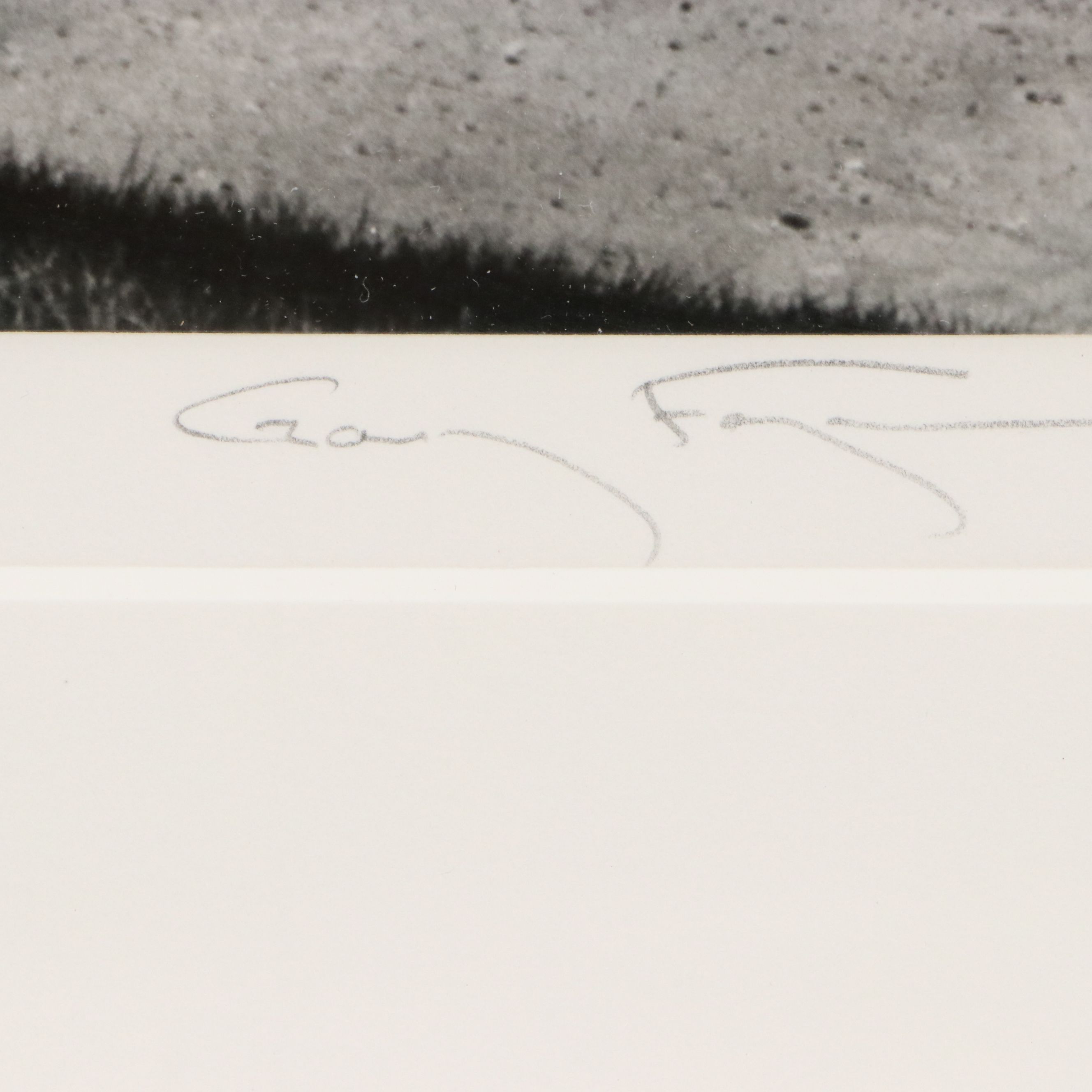 Gary Faye Silver Gelatin Print "Wekiwa Falls"