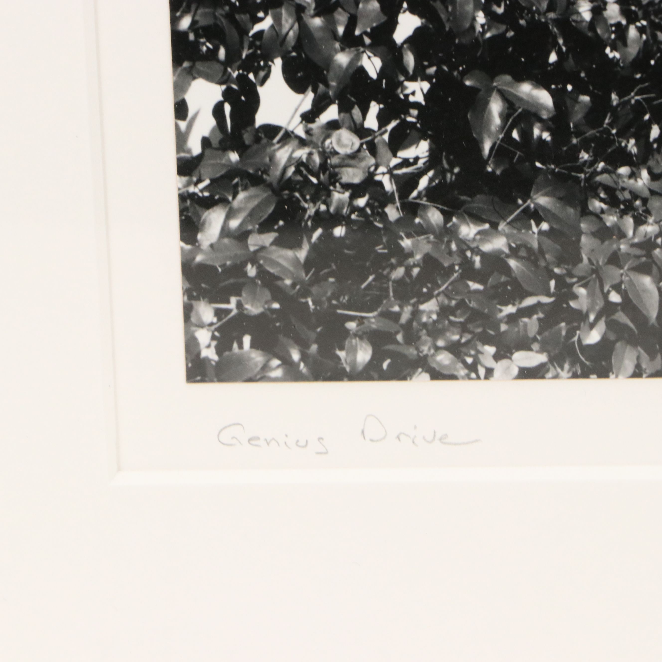 Gary Faye Silver Gelatin Print "Genius Drive"