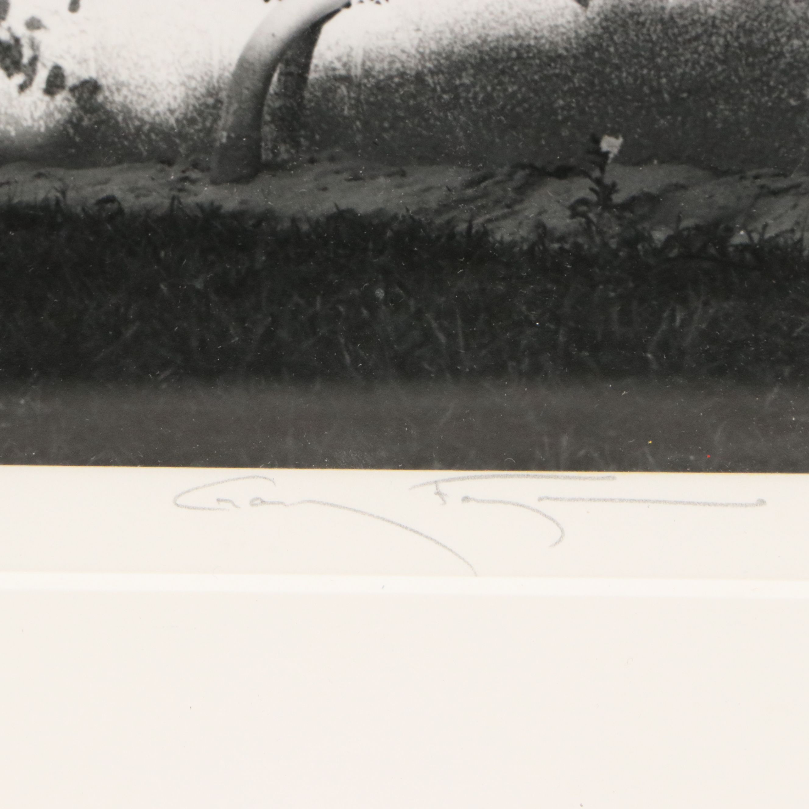 Gary Faye Silver Gelatin Print "Rollins College"