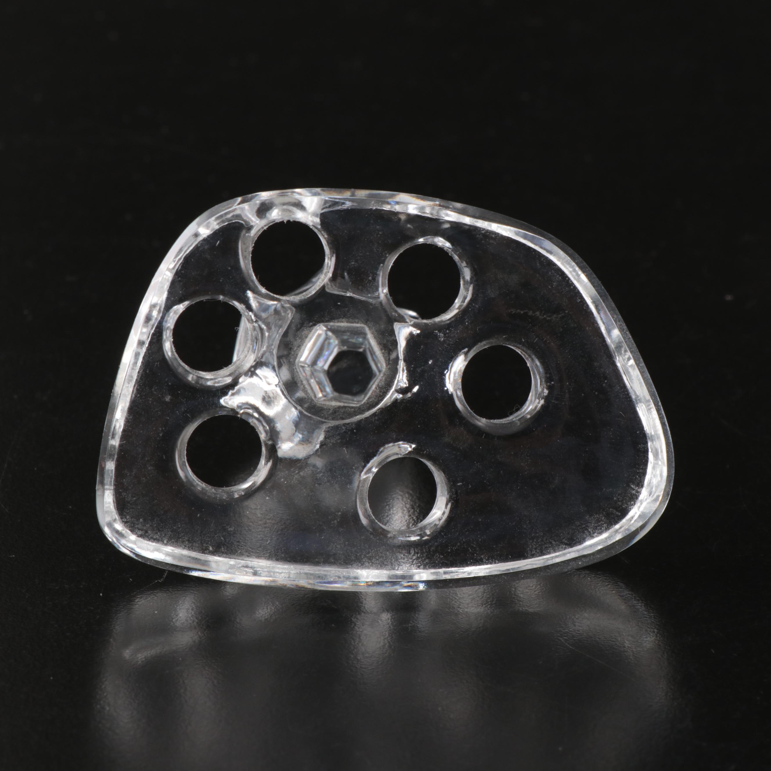 Lalique "Sylvie" Frosted Crystal Vase with Flower Frog