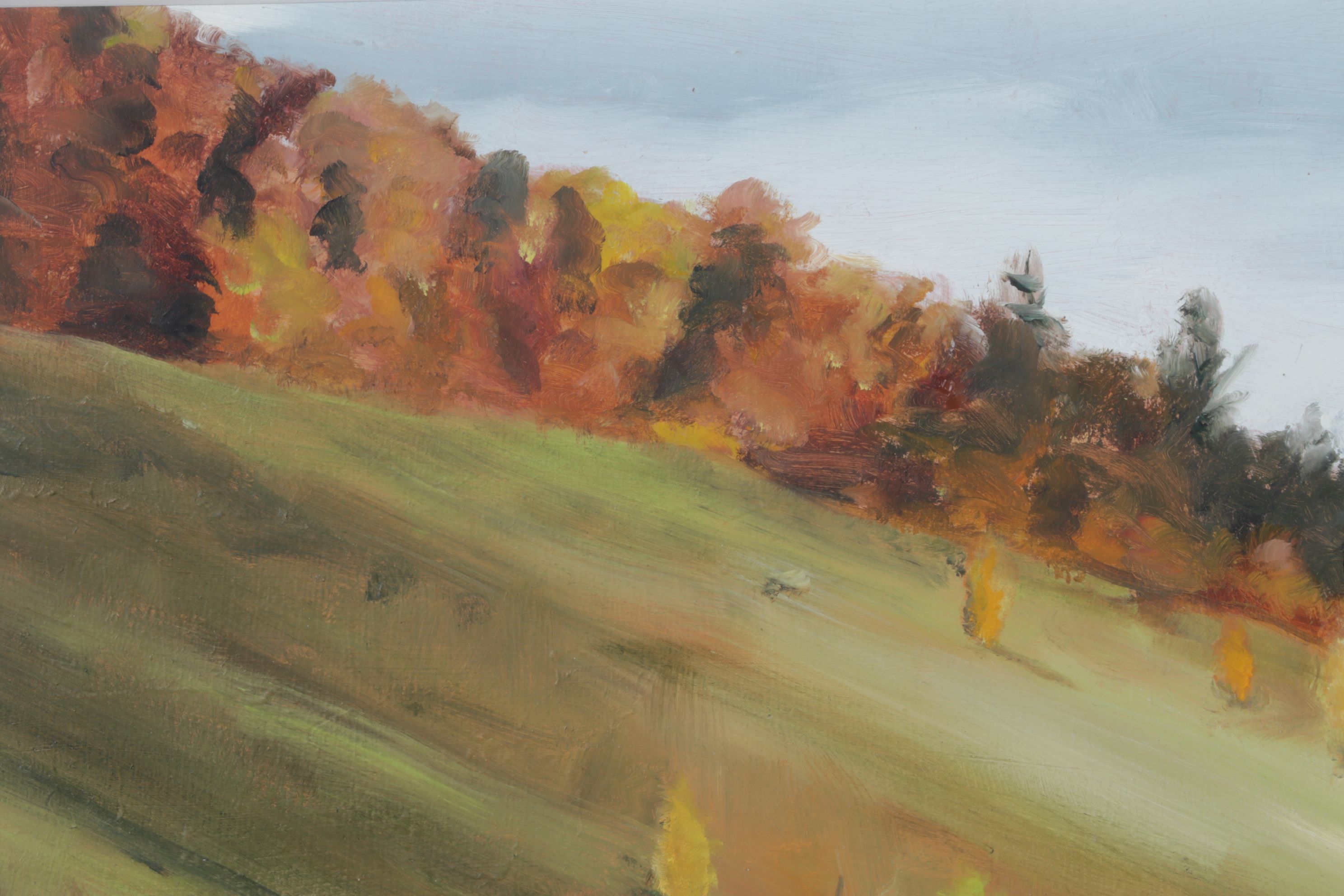 Peter Schroth Oil Painting "Steep Hillside", 2000