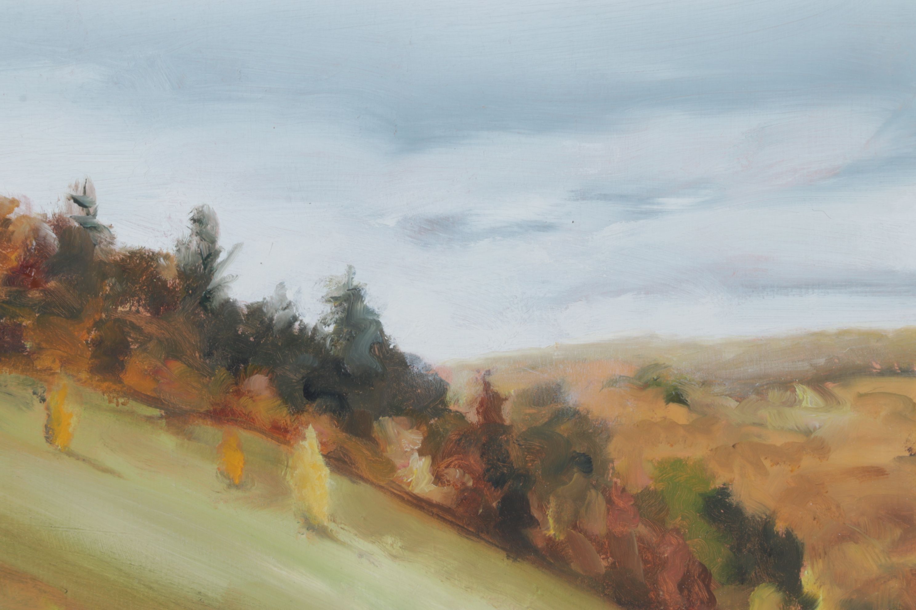 Peter Schroth Oil Painting "Steep Hillside", 2000