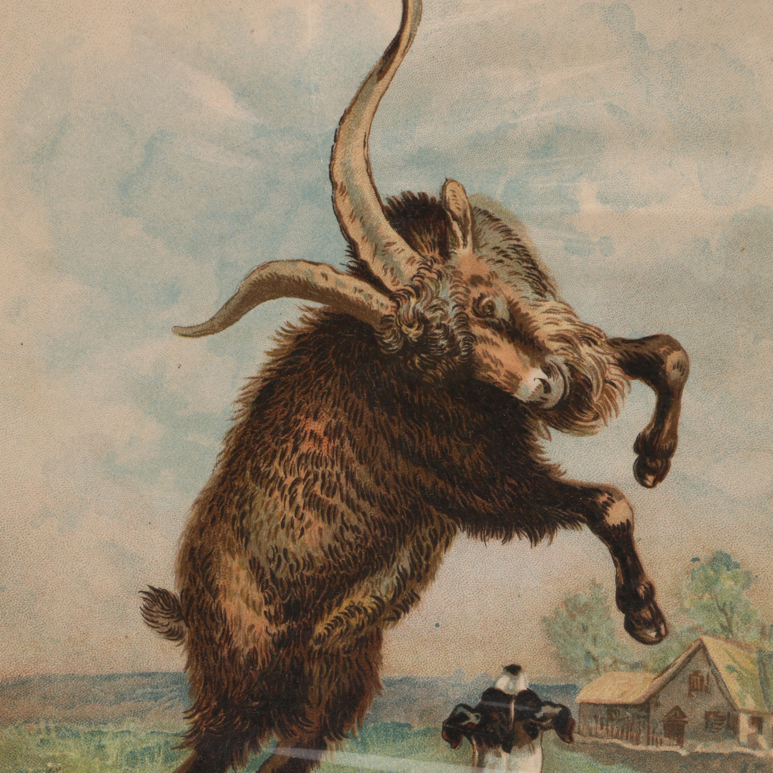 Louis Agassiz Fuertes "Three Wolves and Coyotes" with Other Offset Lithographs