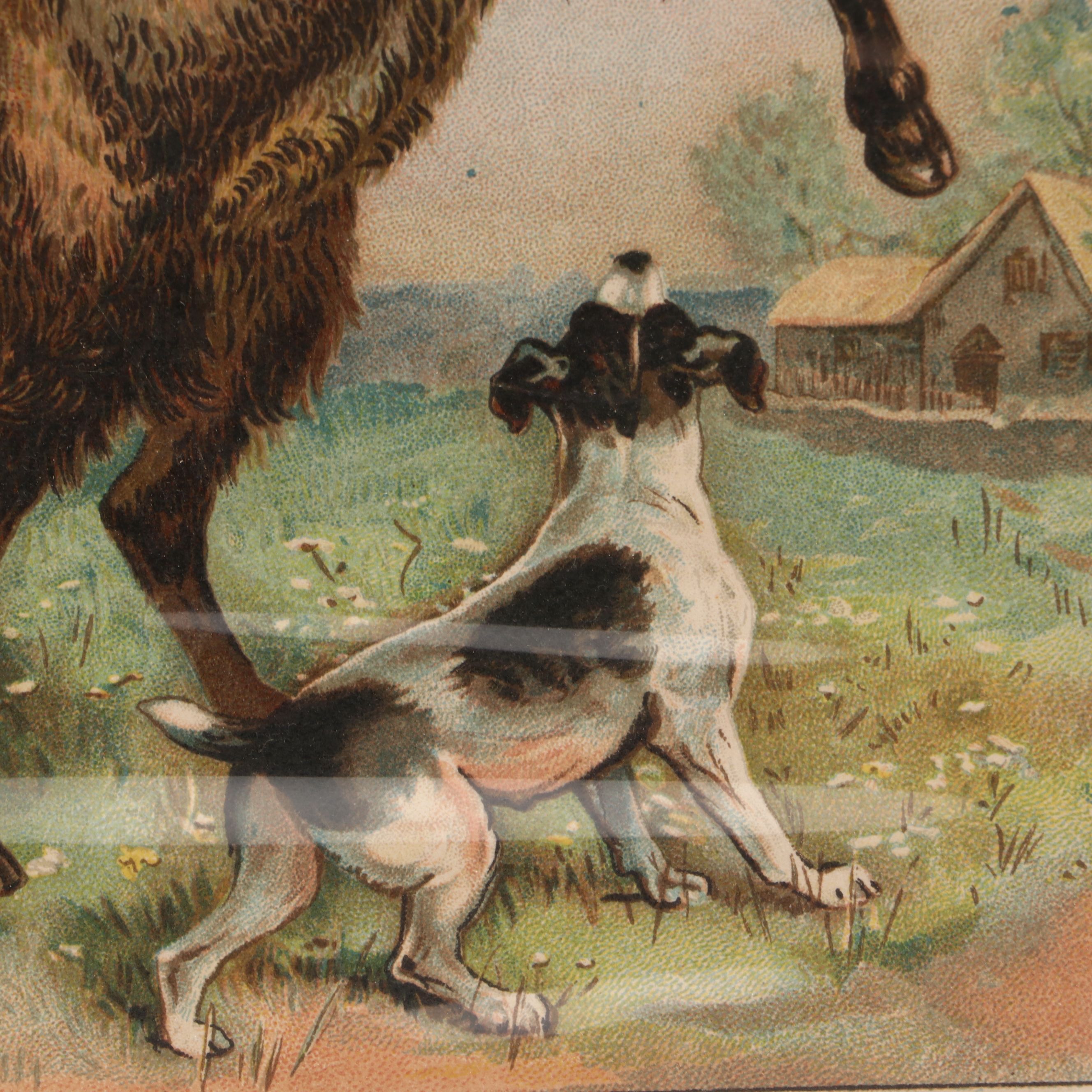 Louis Agassiz Fuertes "Three Wolves and Coyotes" with Other Offset Lithographs