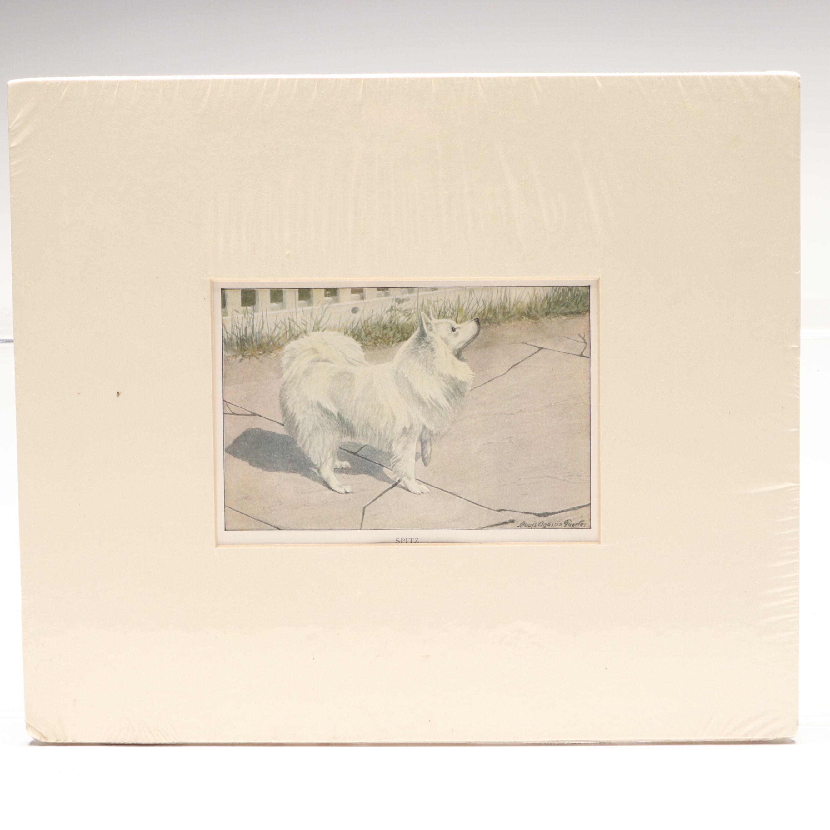 Louis Agassiz Fuertes "Three Wolves and Coyotes" with Other Offset Lithographs