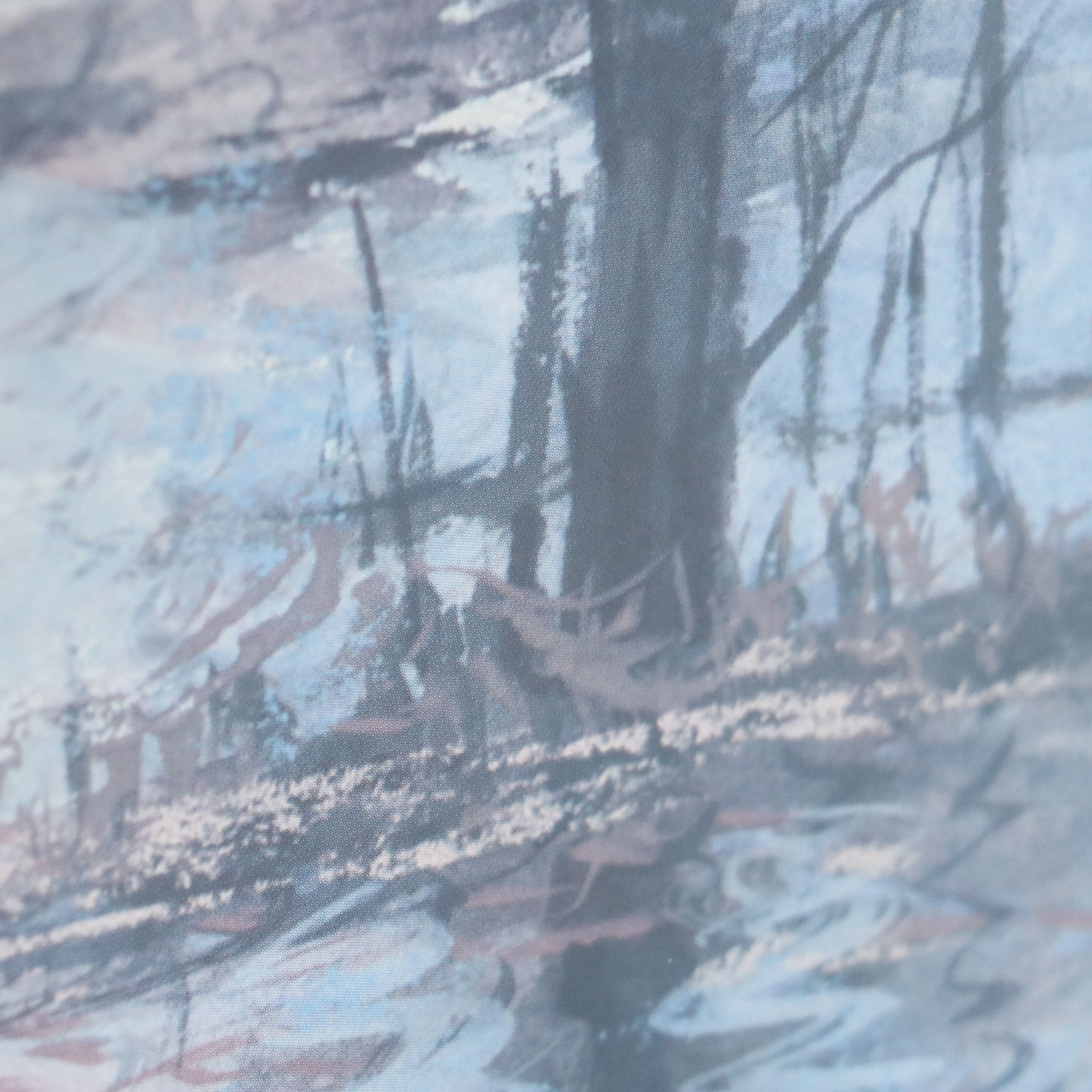 After Michael Schofield Offset Lithograph of Forest Stream, Late 20th Century