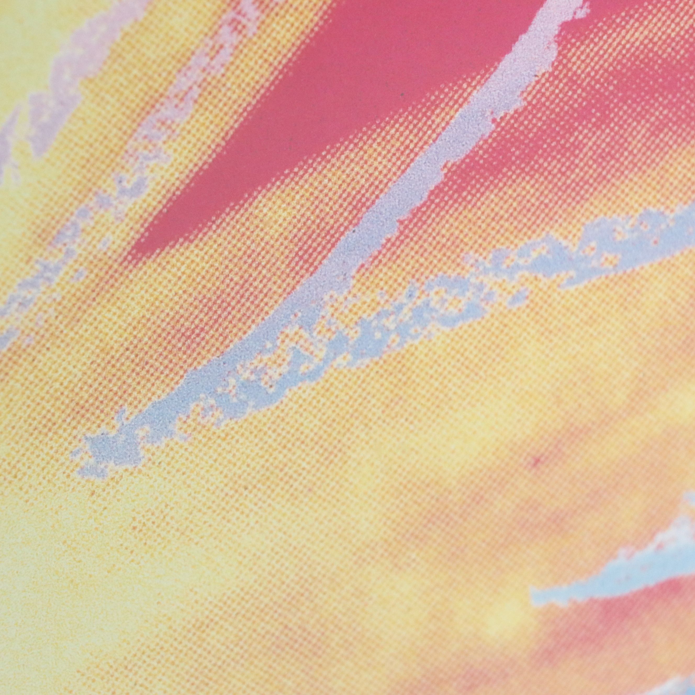 After Andy Warhol Offset Lithograph "Daisy," 20th Century