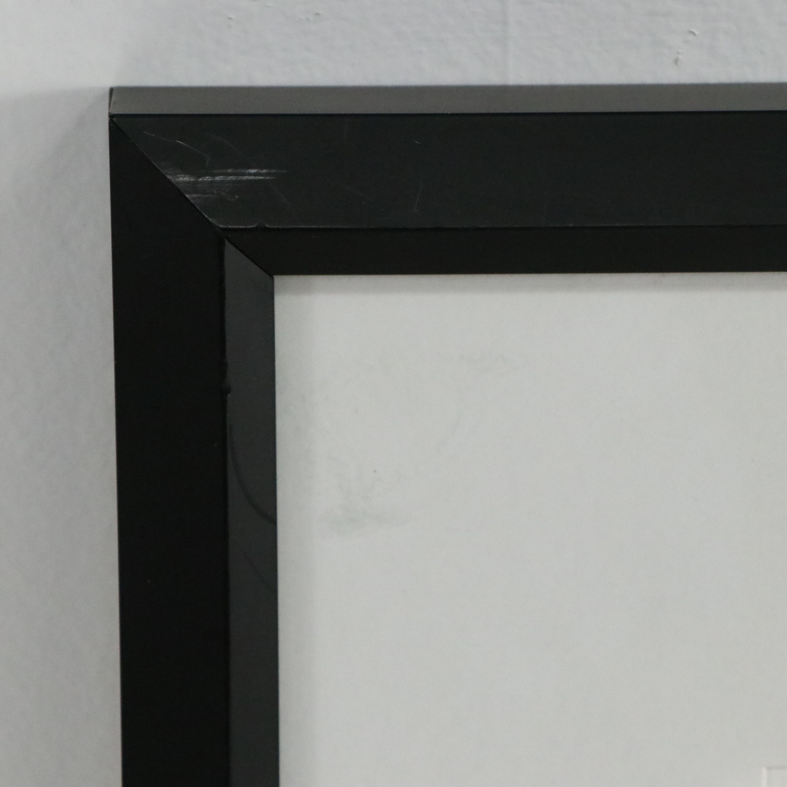 After Andy Warhol Offset Lithograph "Daisy," 20th Century