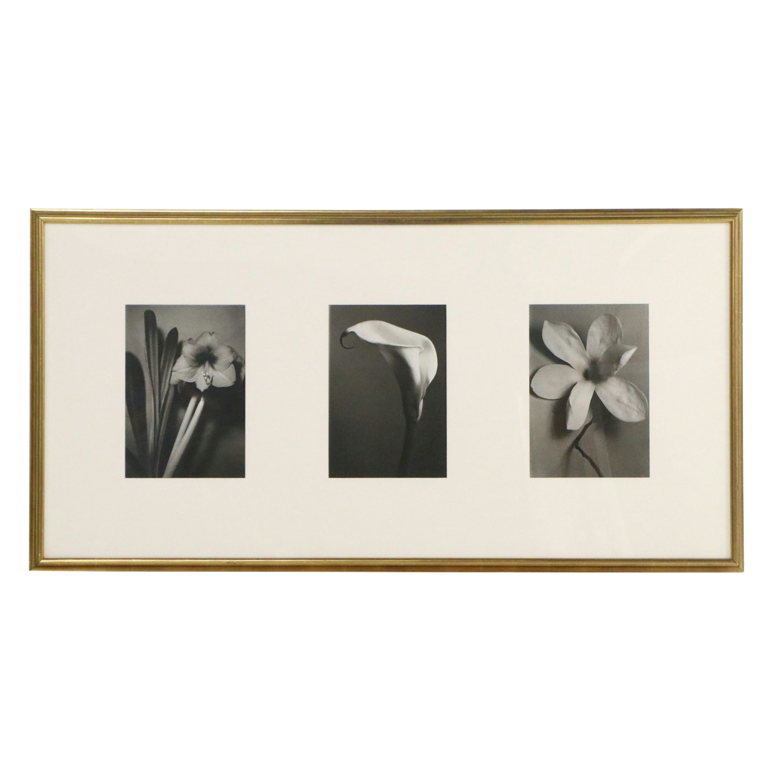Silver Gelatin Photographs of Three Flowers, Mid to Late 20th Century