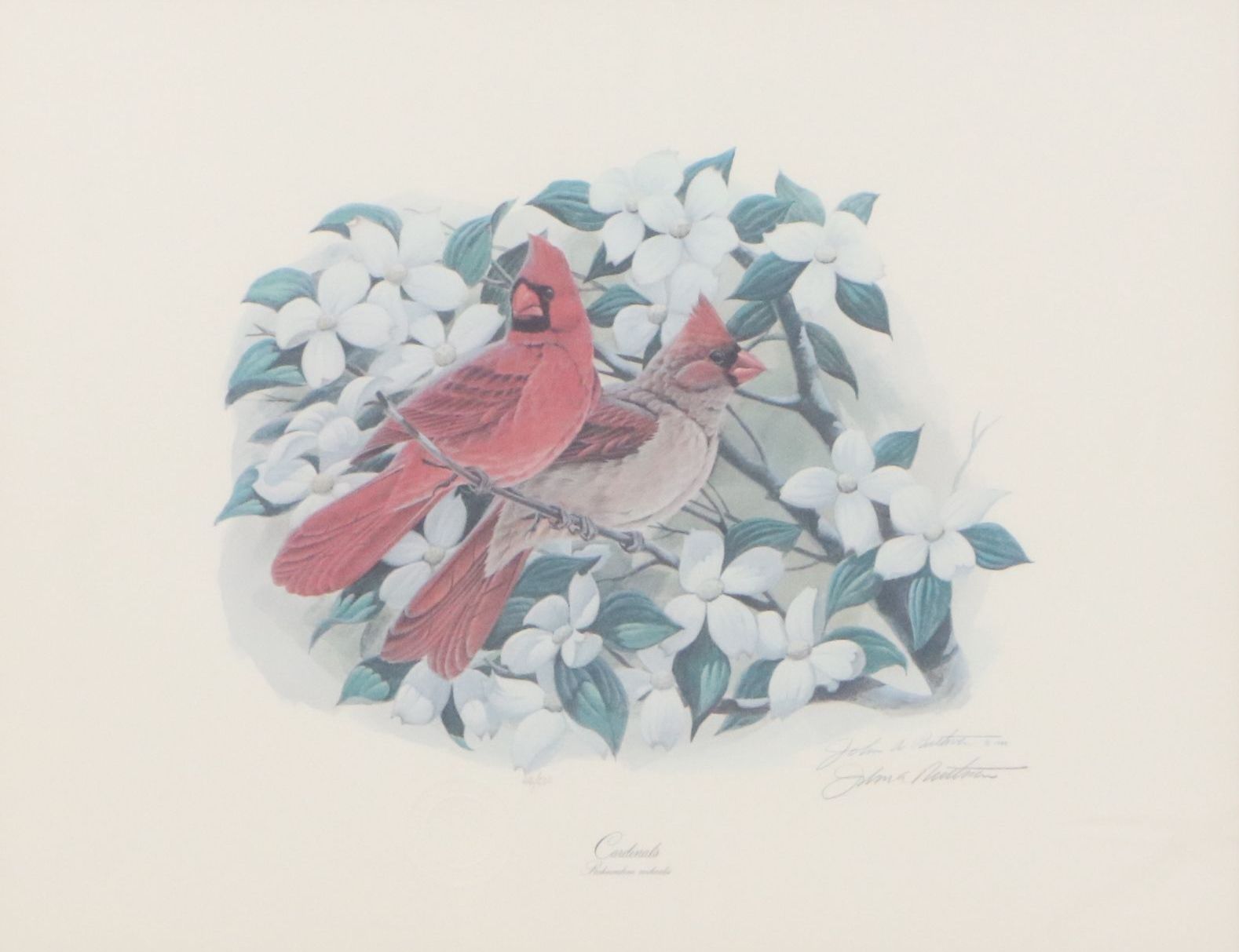 John A. Ruthven Offset Lithograph "Cardinals," Late 20th Century